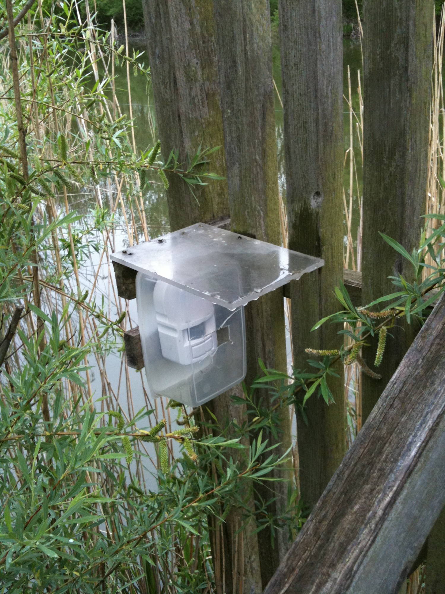 interessanter Schutz für einen Bewegungsmelder an einer Hütte im Wald