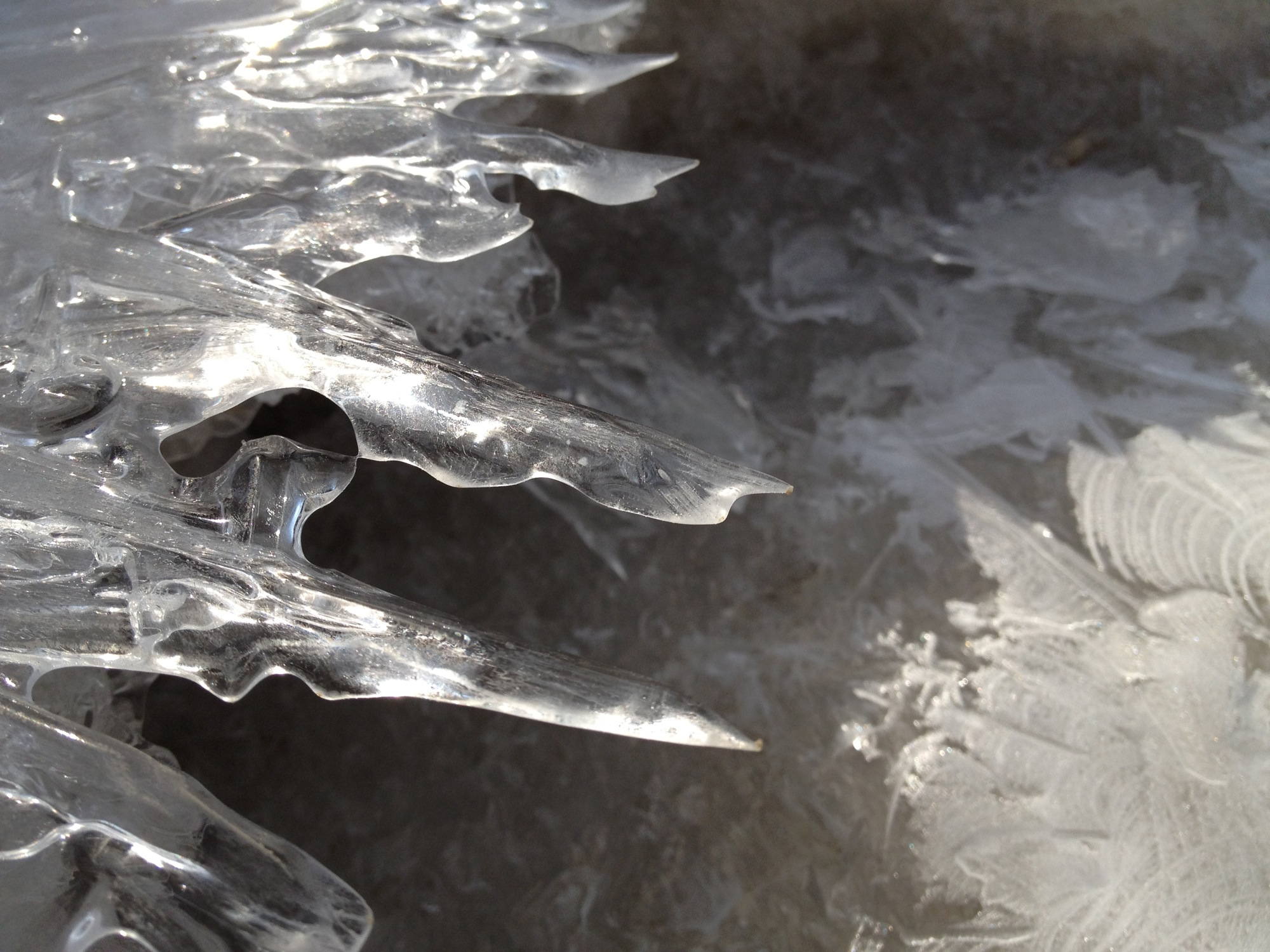 Eisspitzen am zugefrorenen Senningbach