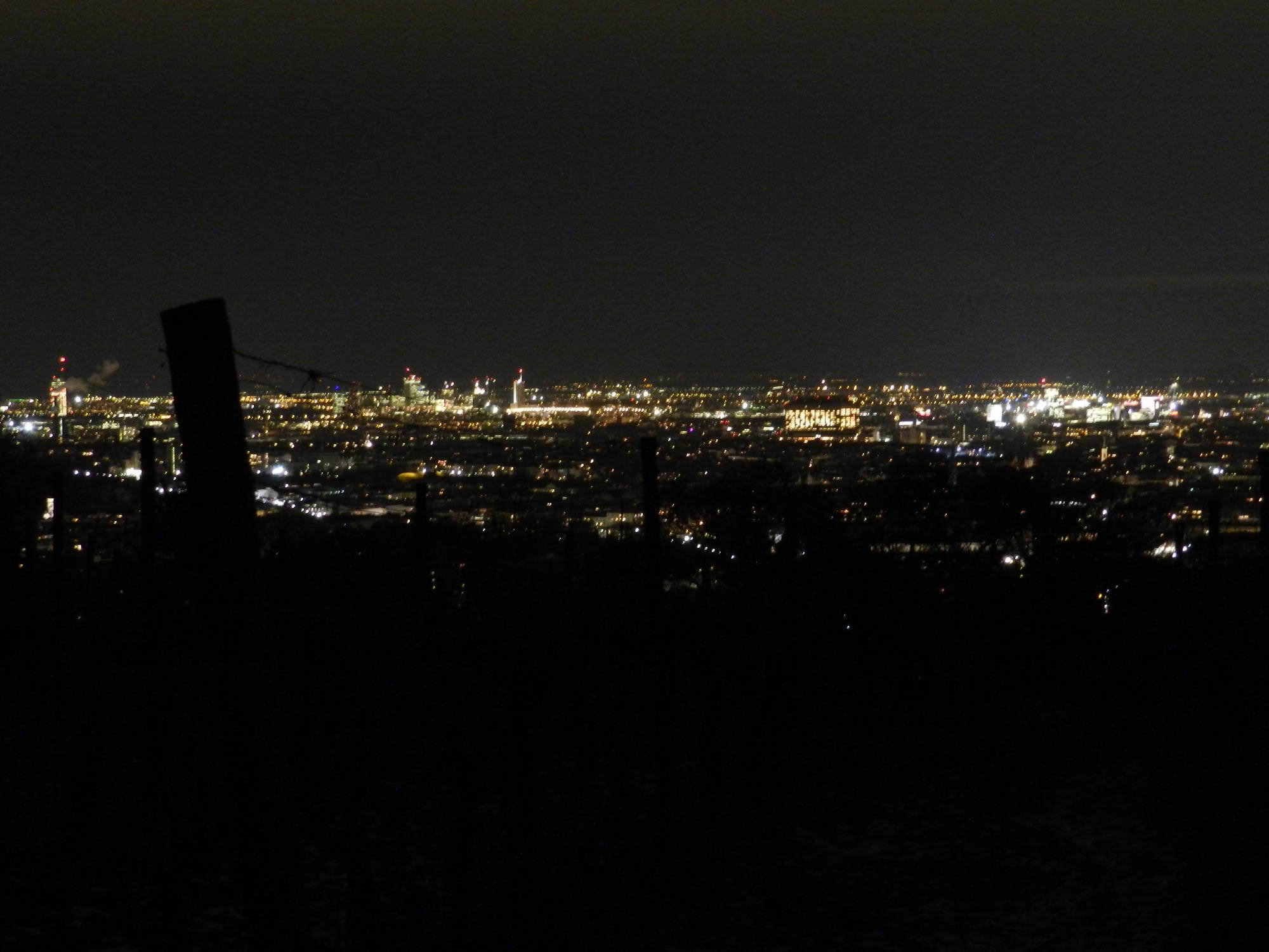 Nachtausblick vom Wilhelminenberg