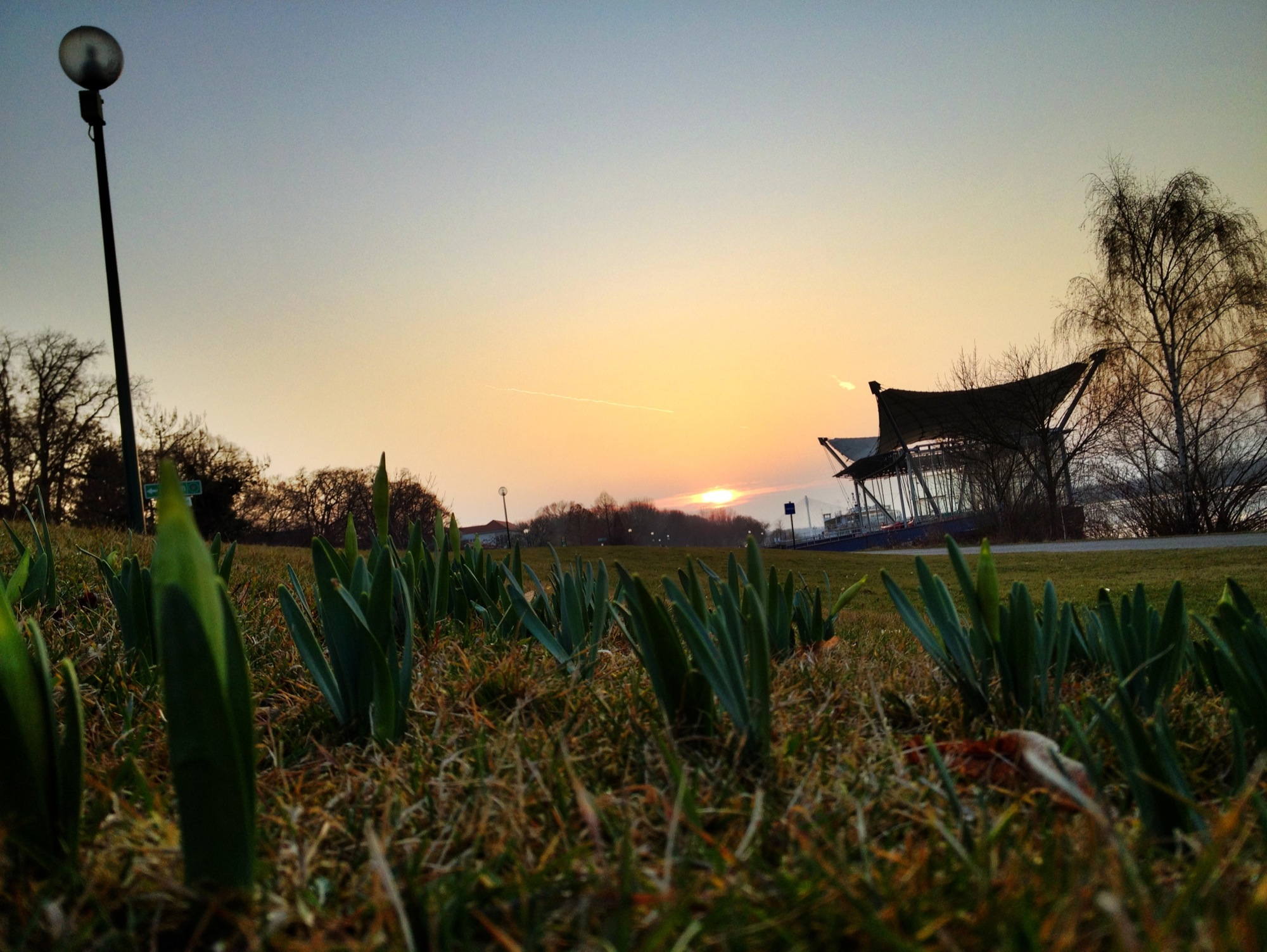 Donaubühne Tulln aus Krokusperspektive