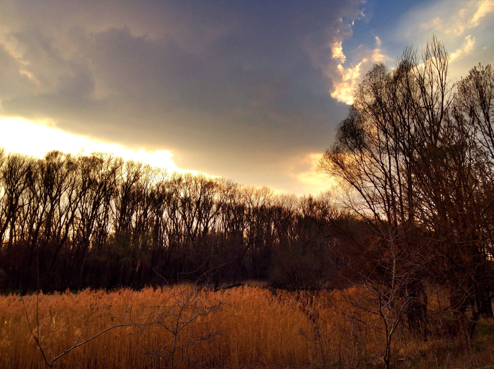 HDR-Himmel in der Spillerner Au