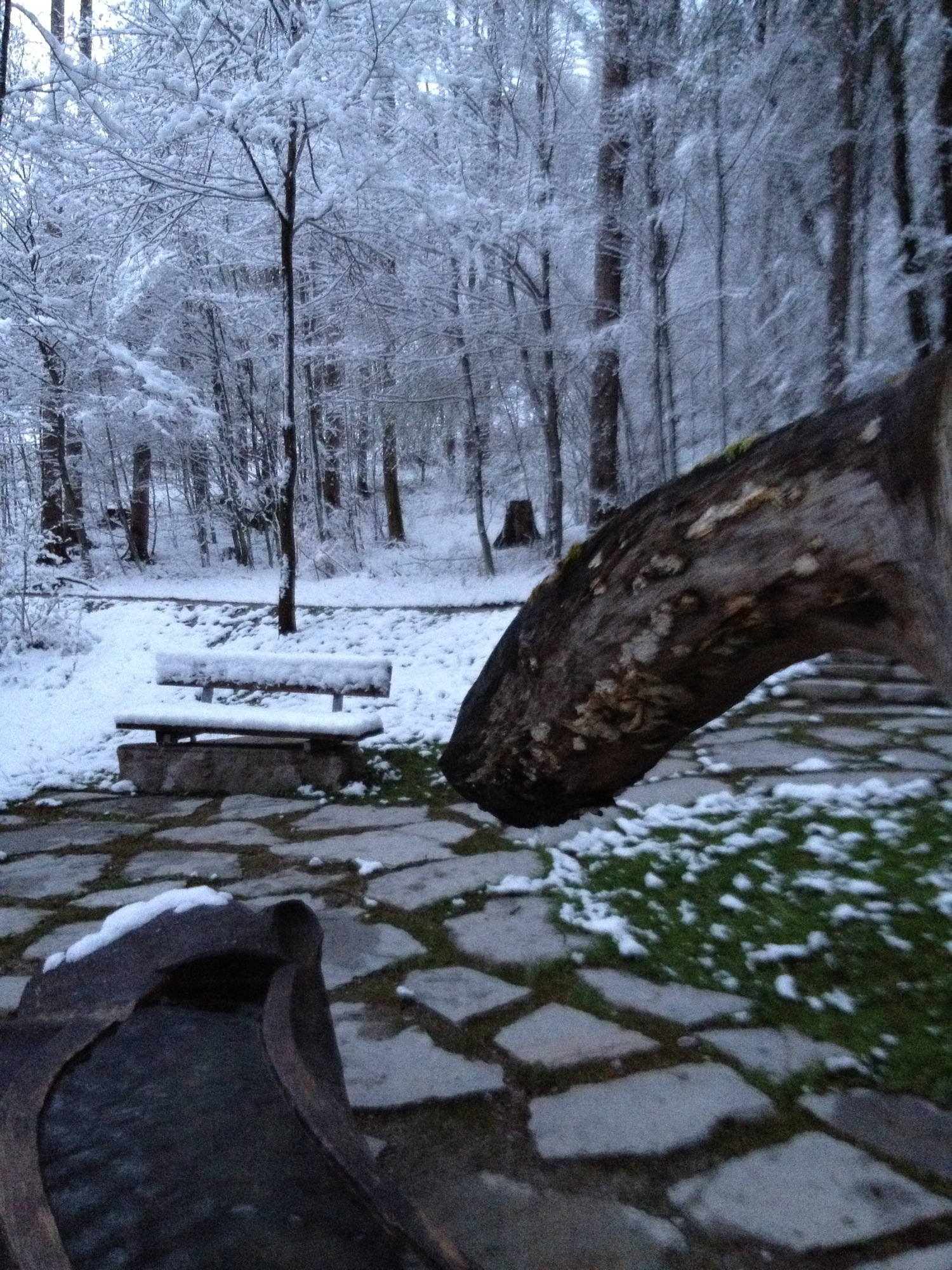 Brunnen in der Nähe des Wellnessparadies Aqua-Salza in Golling