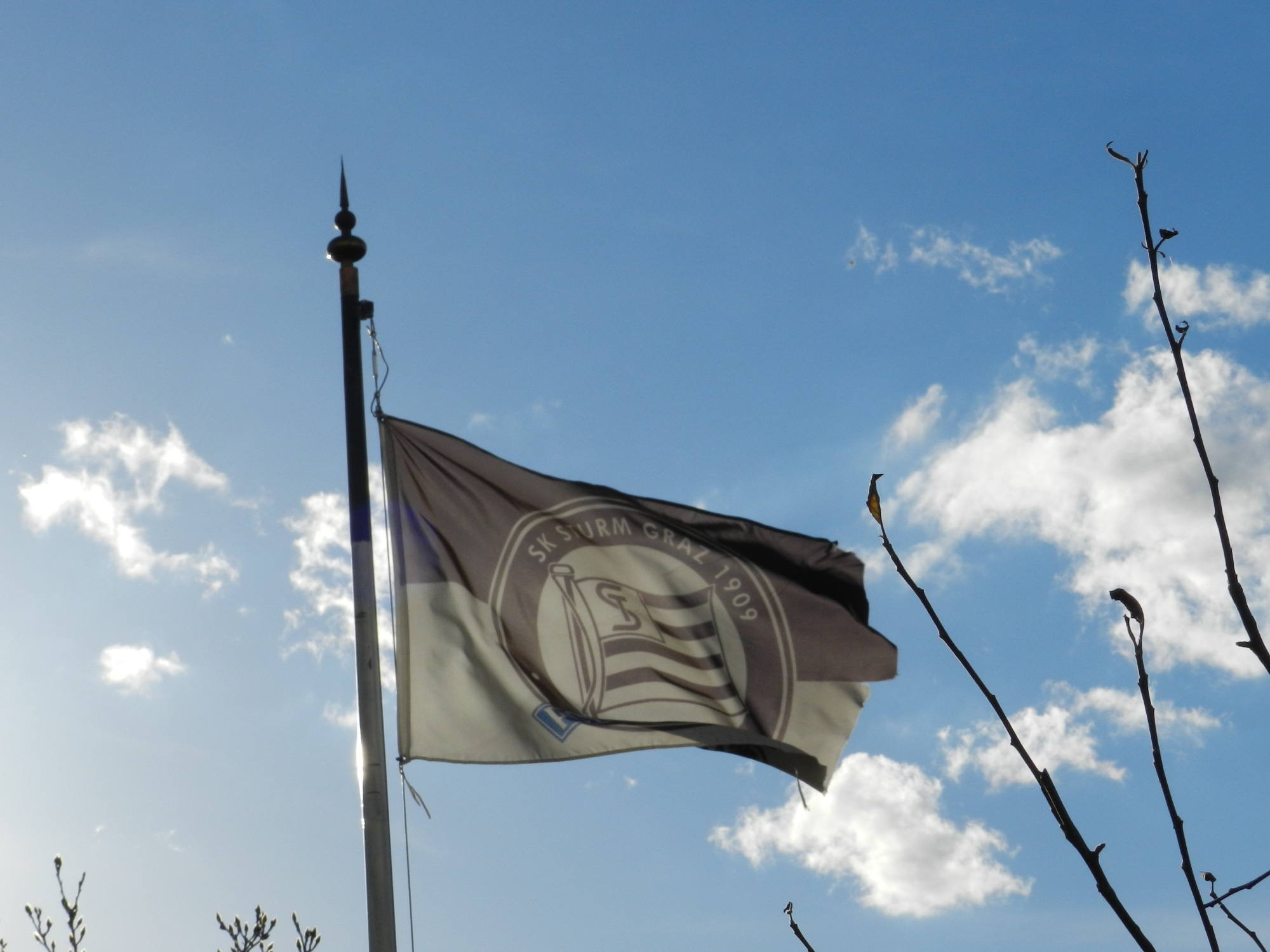 Sturm Graz Flagge im Sonnenschein