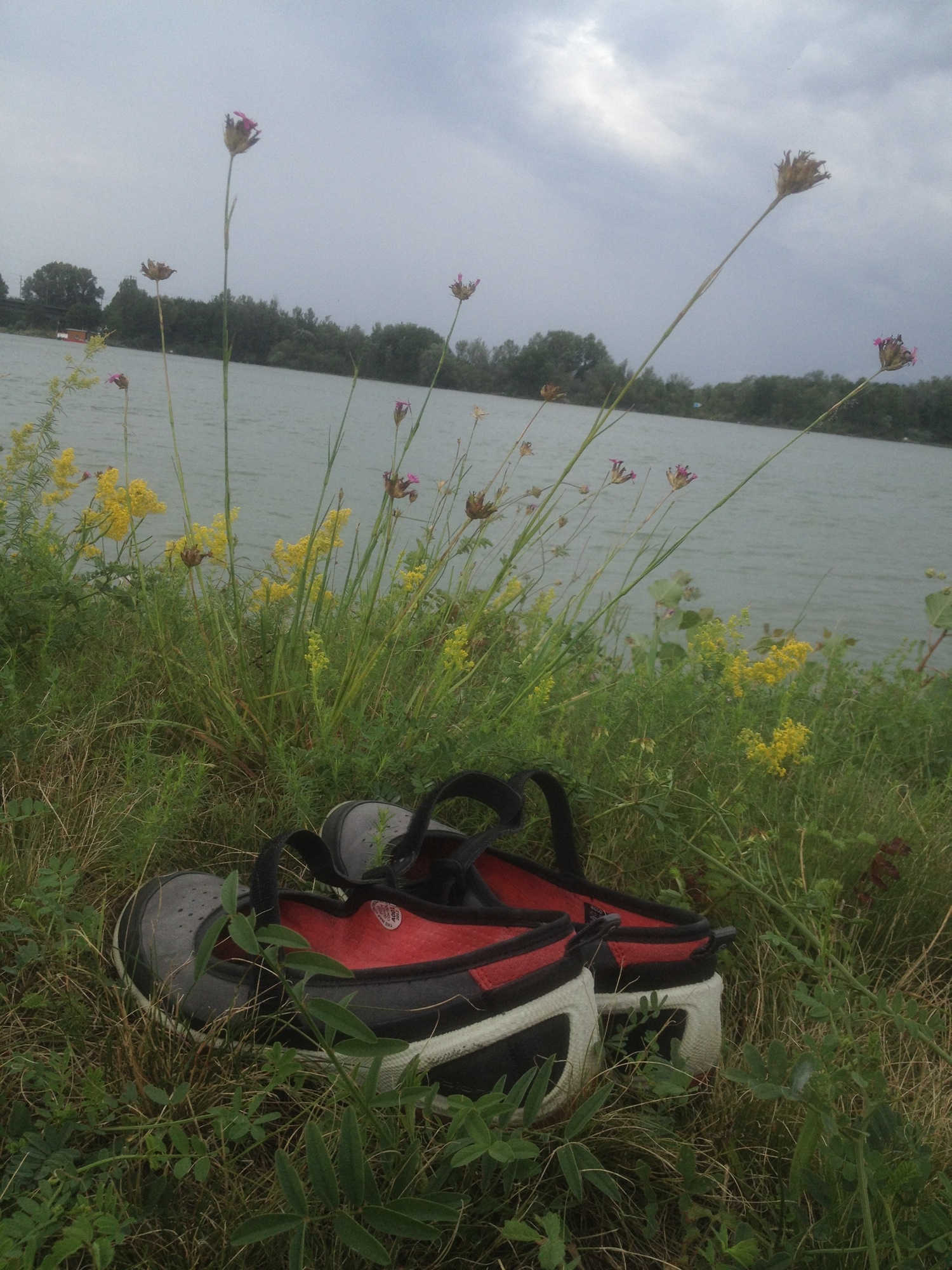 Schuhe im Gras, dahinter Wolken