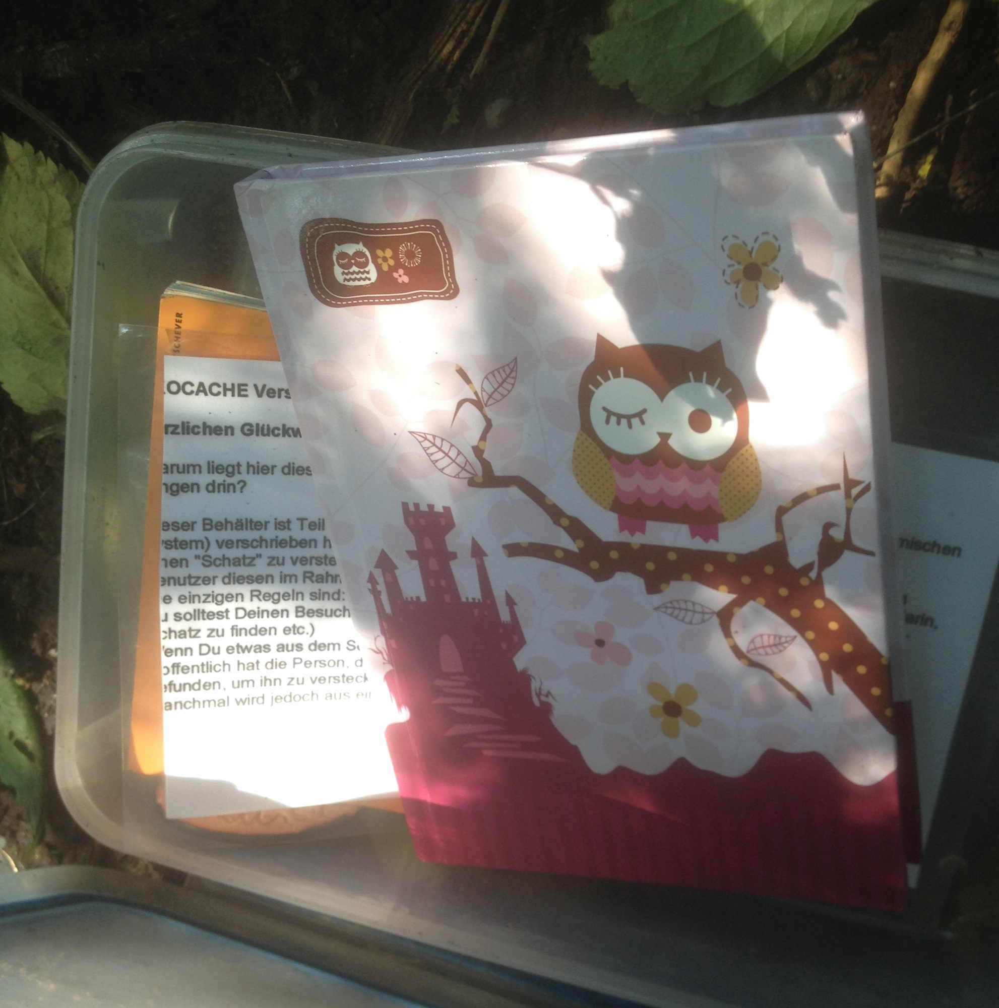 Logbuch des Nichtenbonus mit trendiger Eule