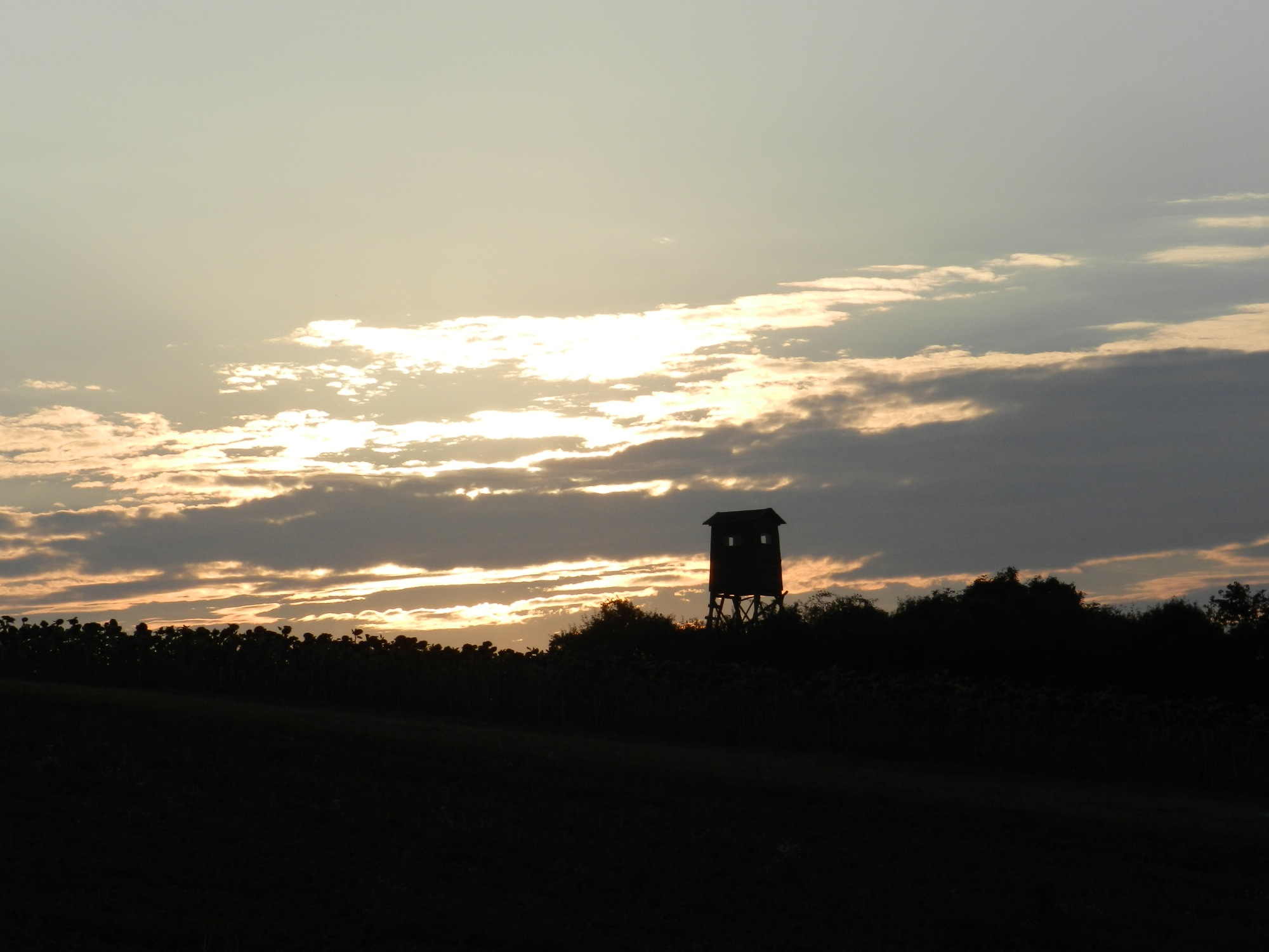 Silhouette eines Jägerhäuschens vor dem Sonnenuntergang