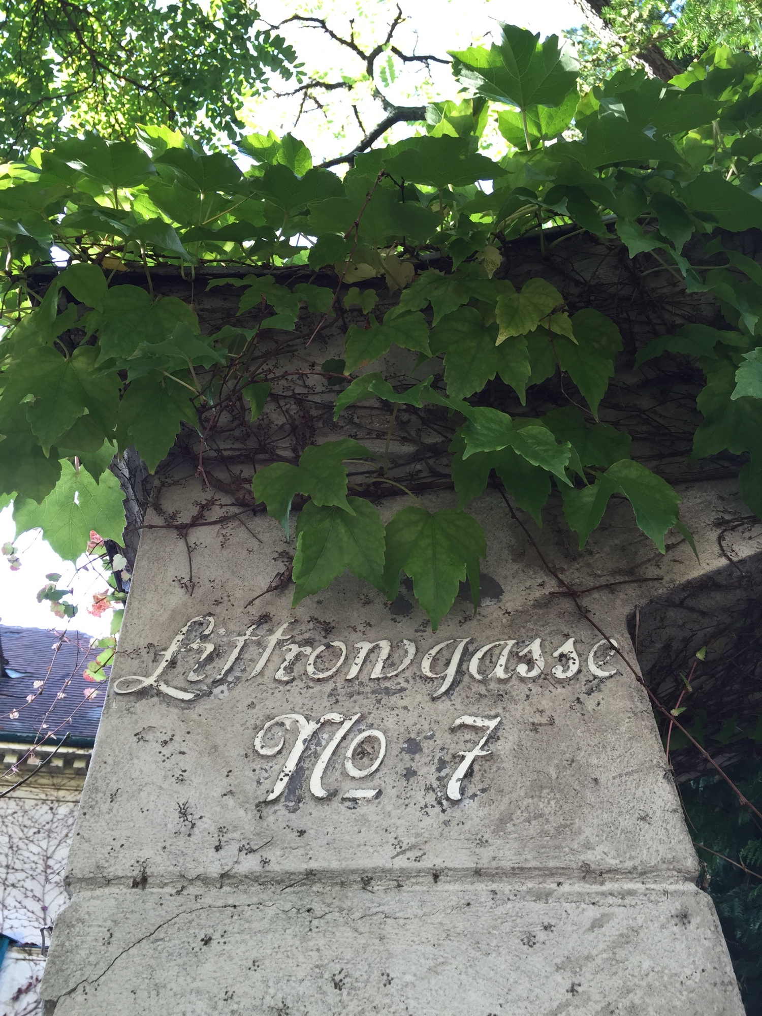 Schriftzug Littrowgasse No. 7