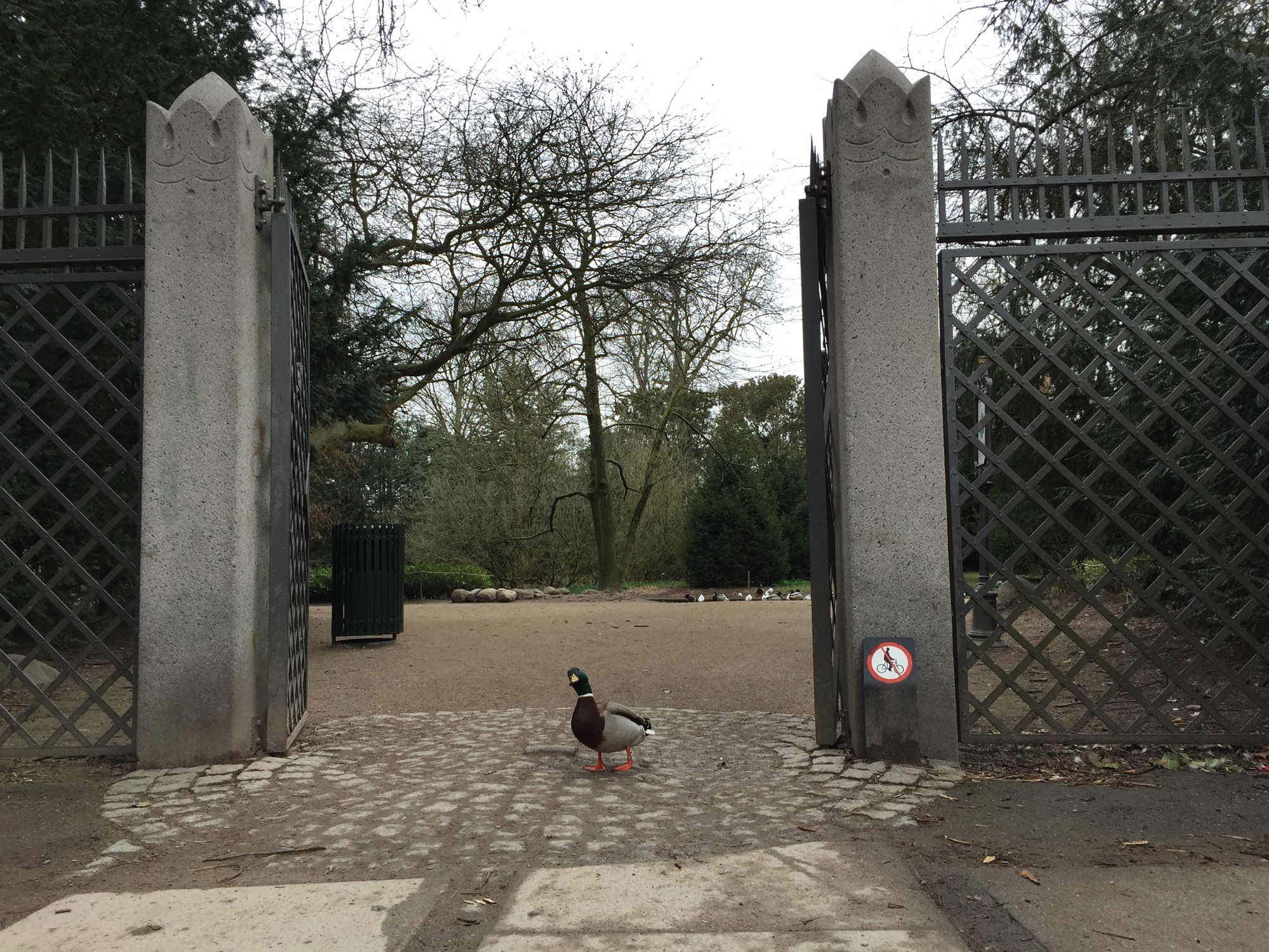 Eingang zum Frederiksberg Have, von einer Ente bewacht