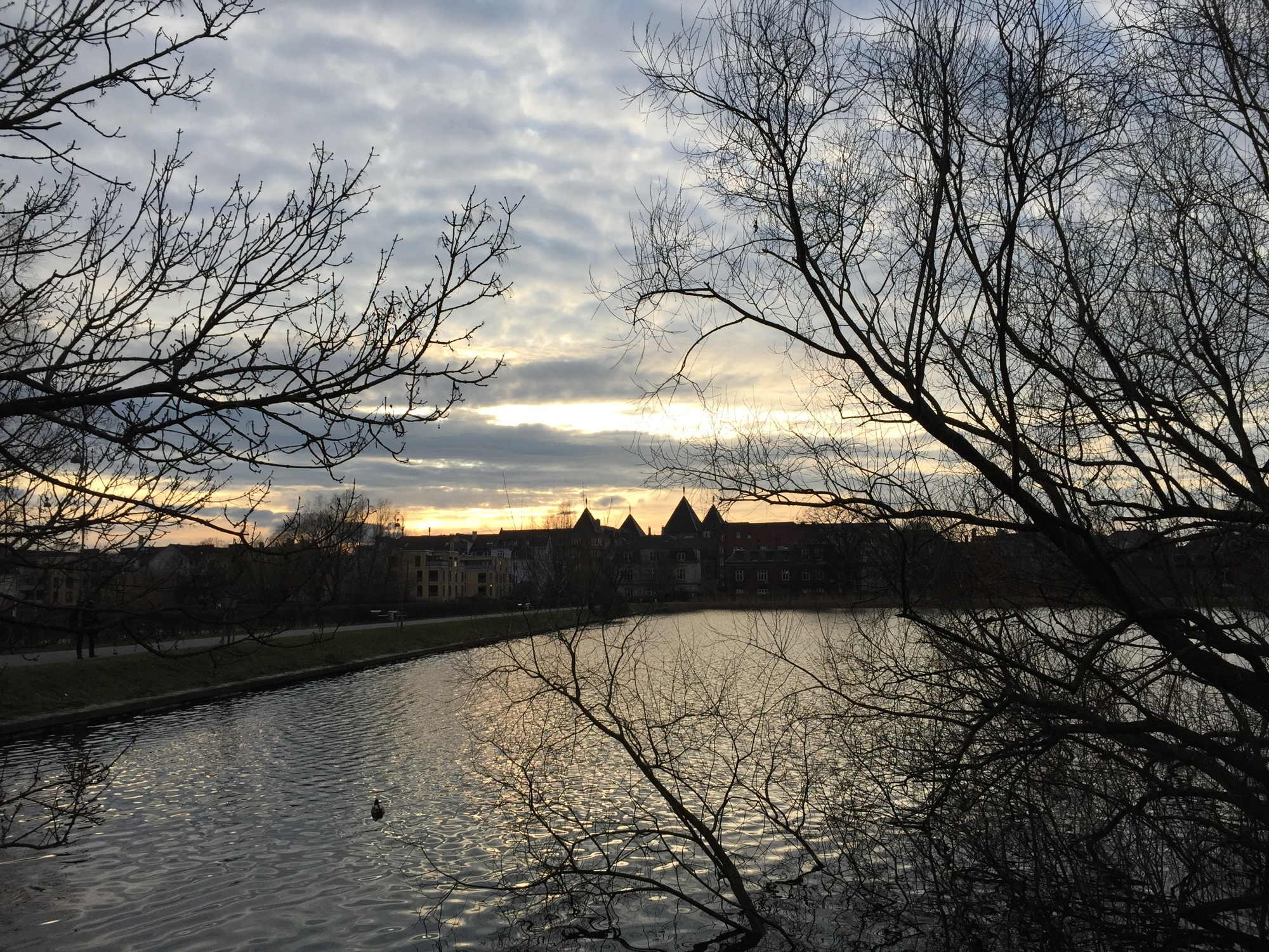 ein Sonnenstreif am Horizont