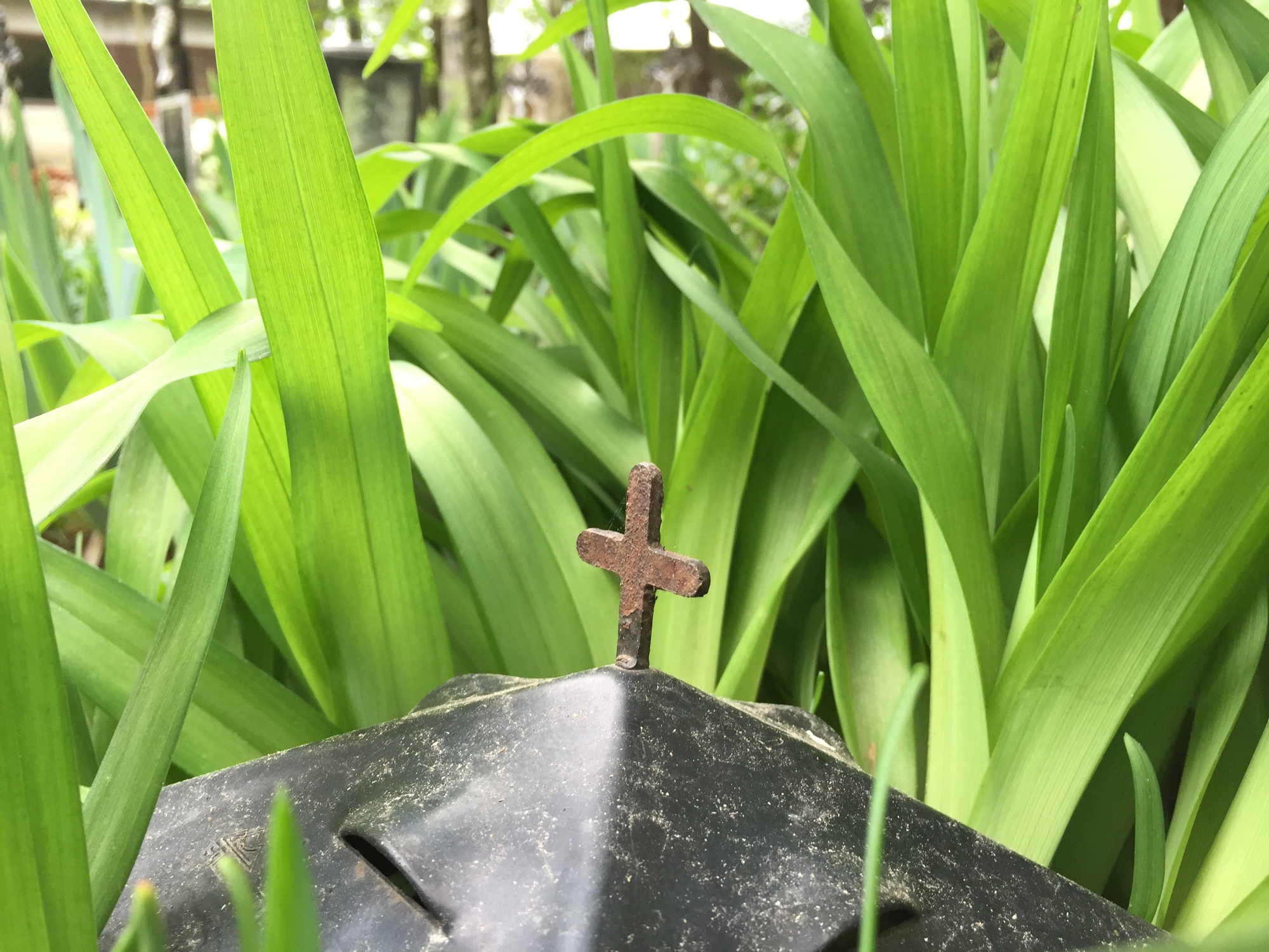 von Tulpenblättern überwucherte Laterne, mit einem Kreuz gekrönt