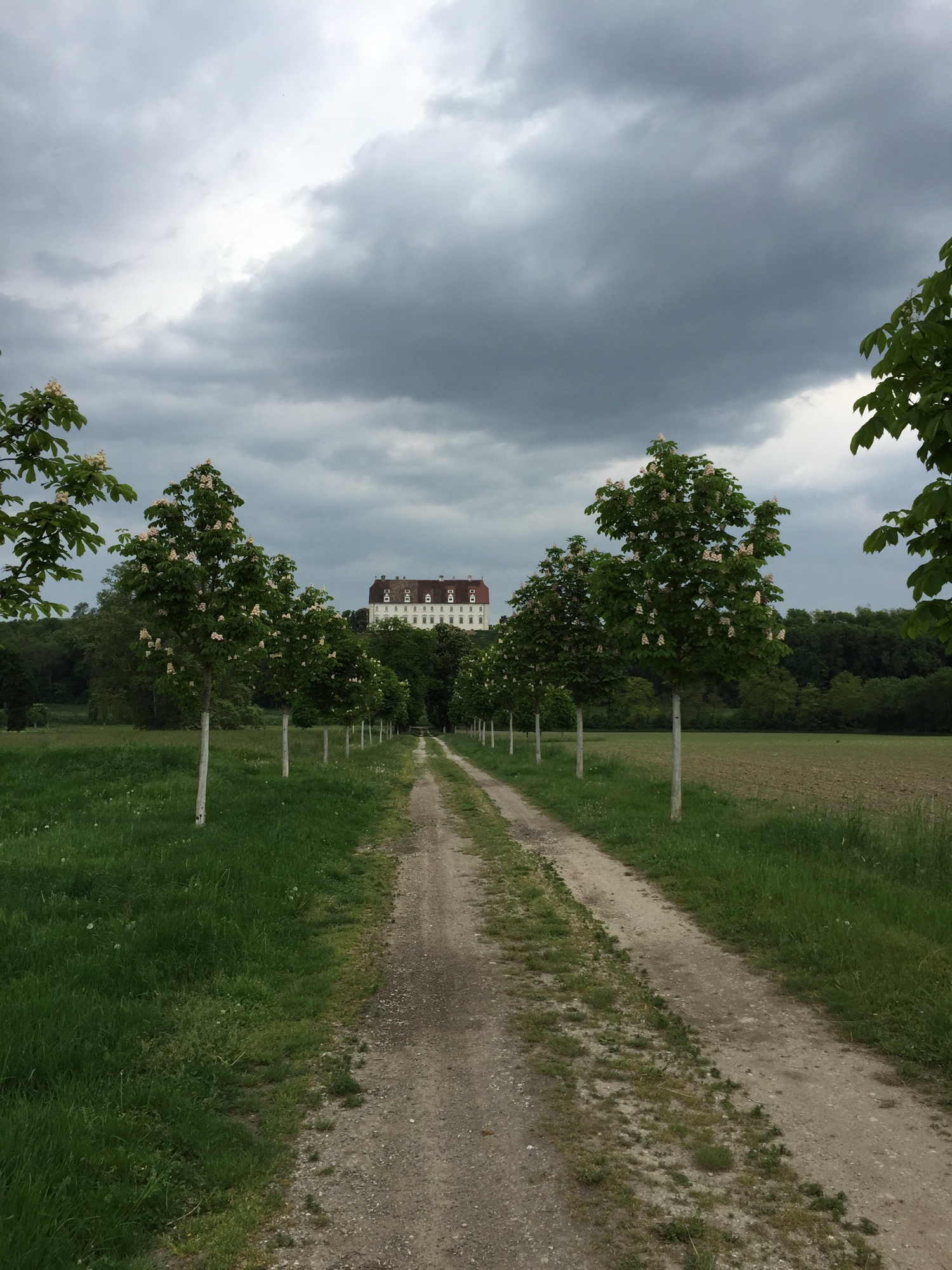 Blick entlang der Kastanienallee auf Schloss Juliusburg in Starnwörth