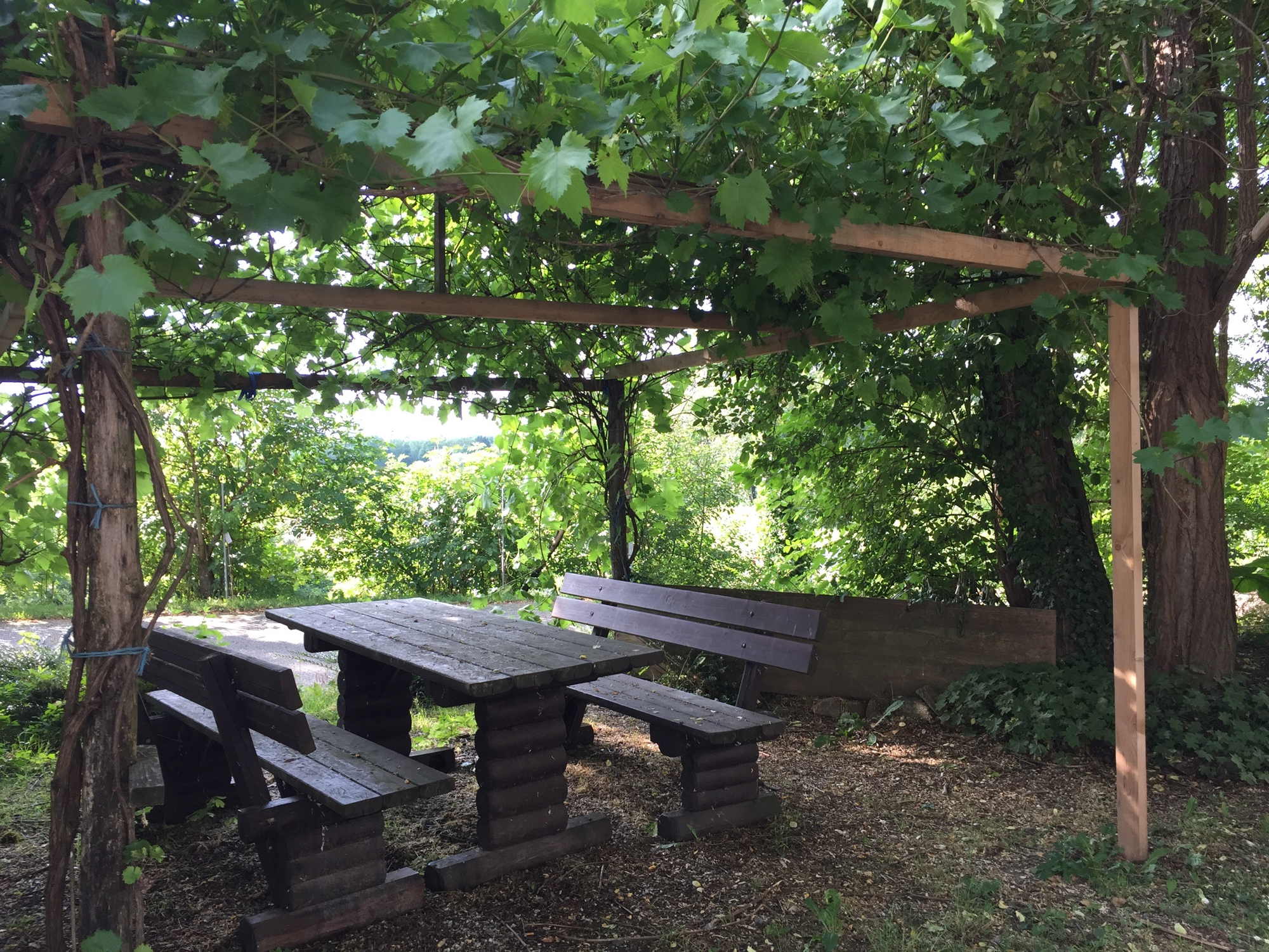 romantische Laube in der Kellergasse Absberg