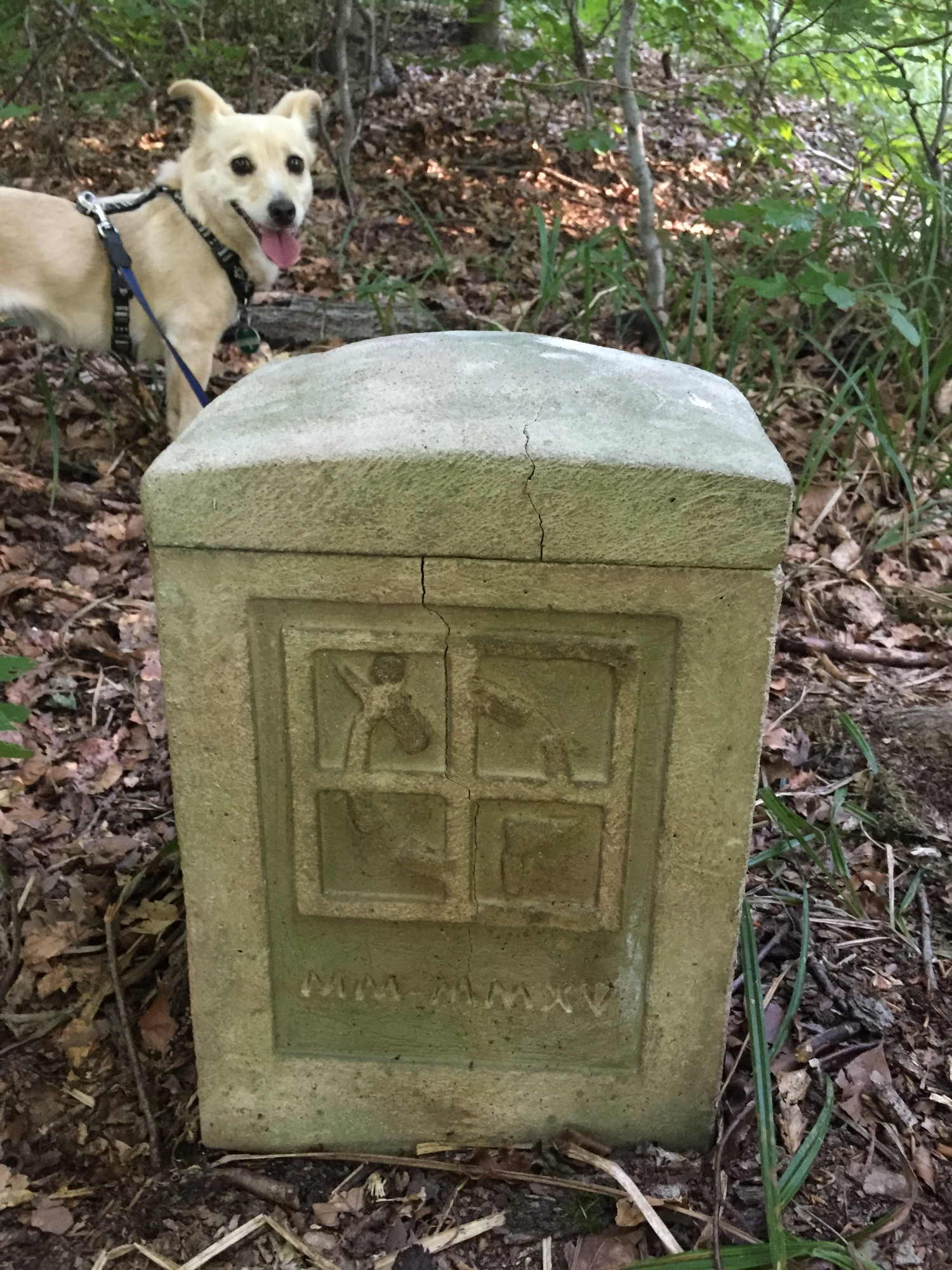 Geocaching Grenzstein, herausragende Arbeit by Owner Saccn