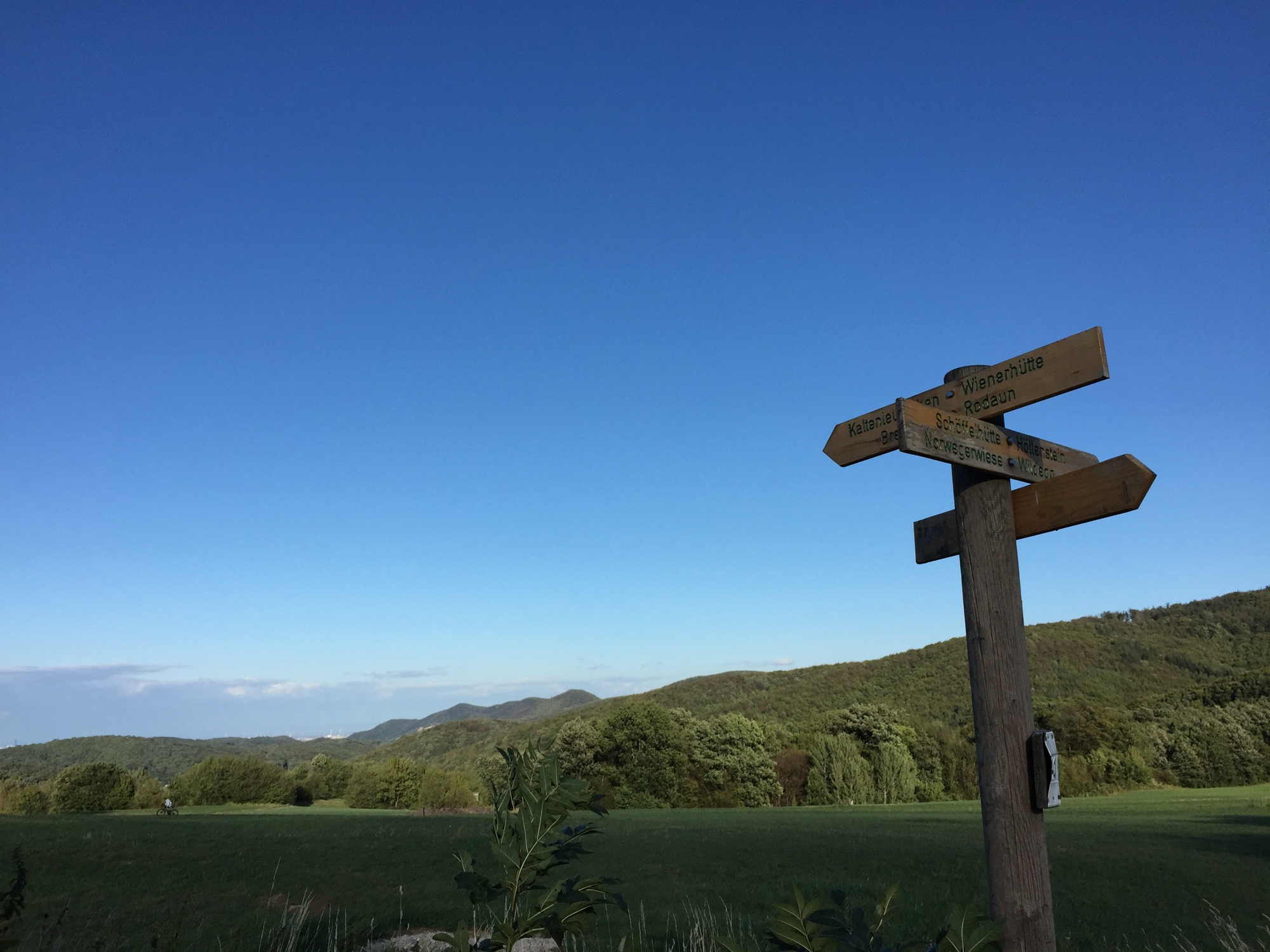 Ausblick Richtung Kaltenleutgeben, Landschaft hinter Wegweiser