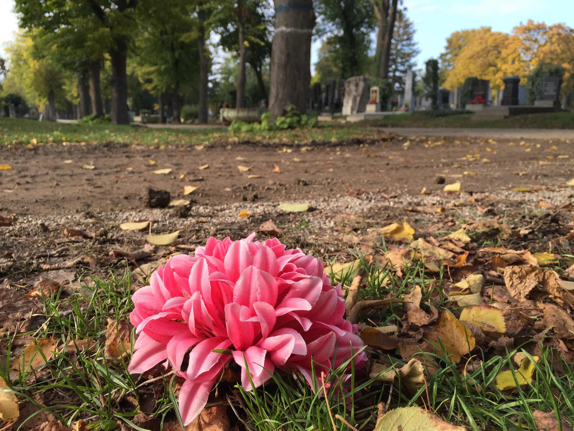 verlorene Plastikblume am Wegesrand