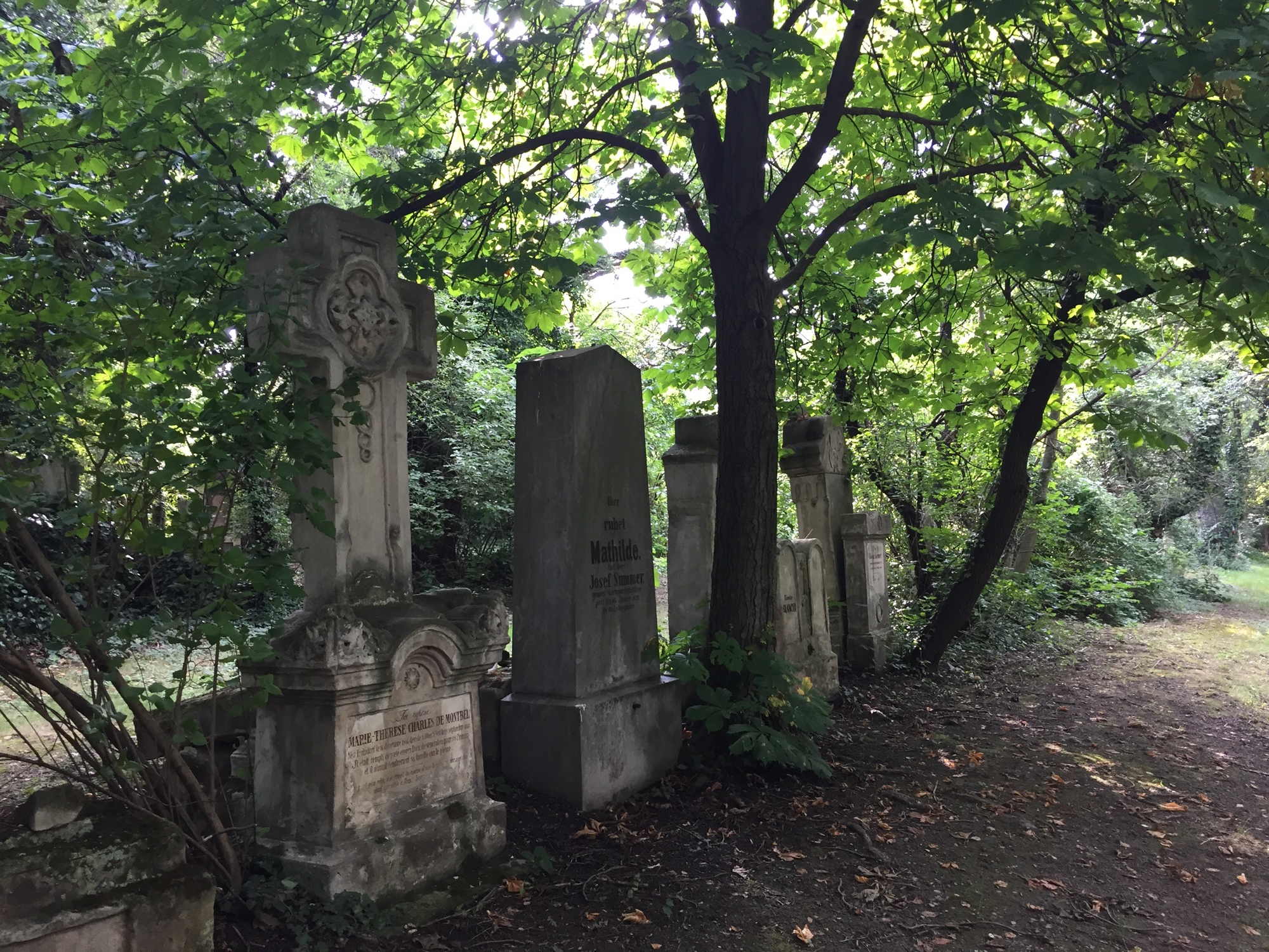 Gräberreihe unter Bäumen