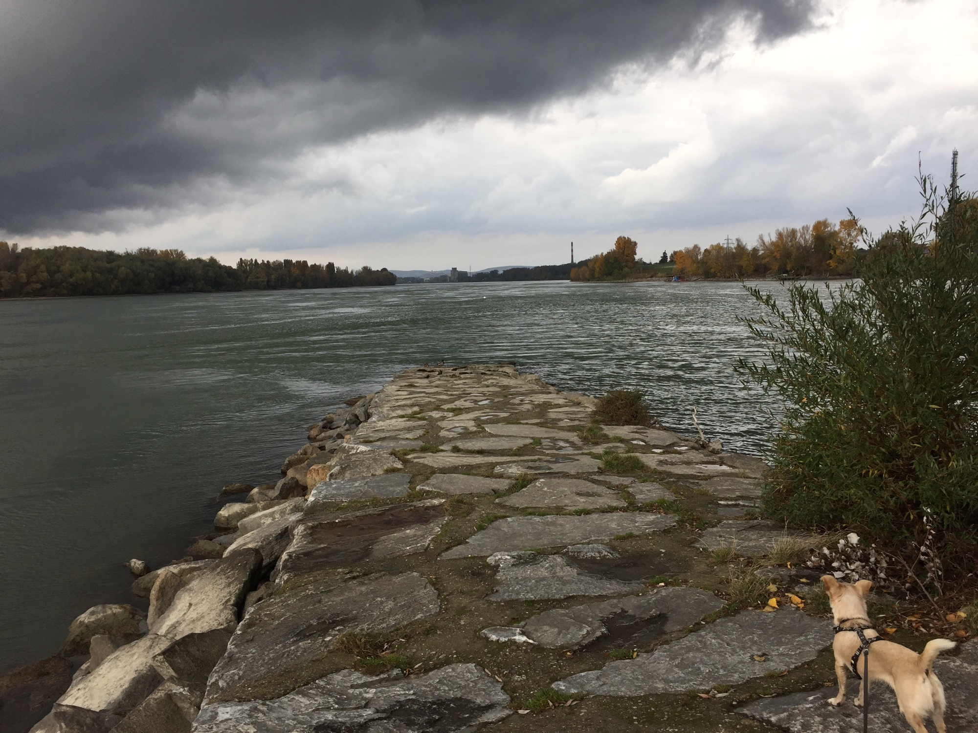 der Anfang (oder das Ende?) der Donauinsel beim Einlaufbauwerk Langenzersdorf, Blick Richtung Korneuburg