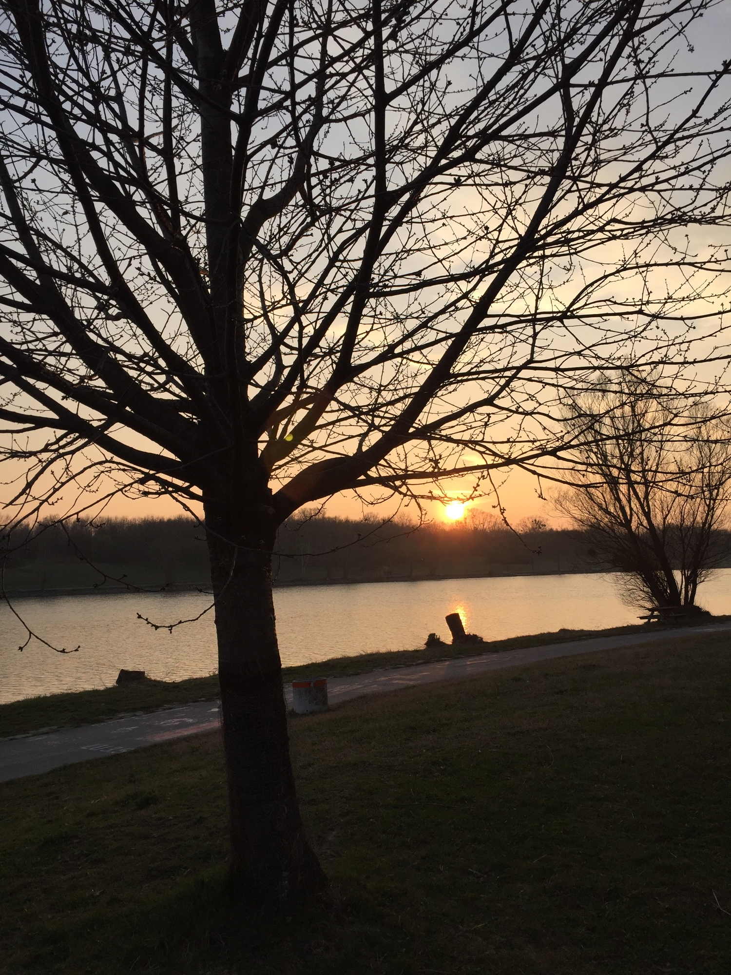 Blick auf die Donauinsel in der Abendsonne