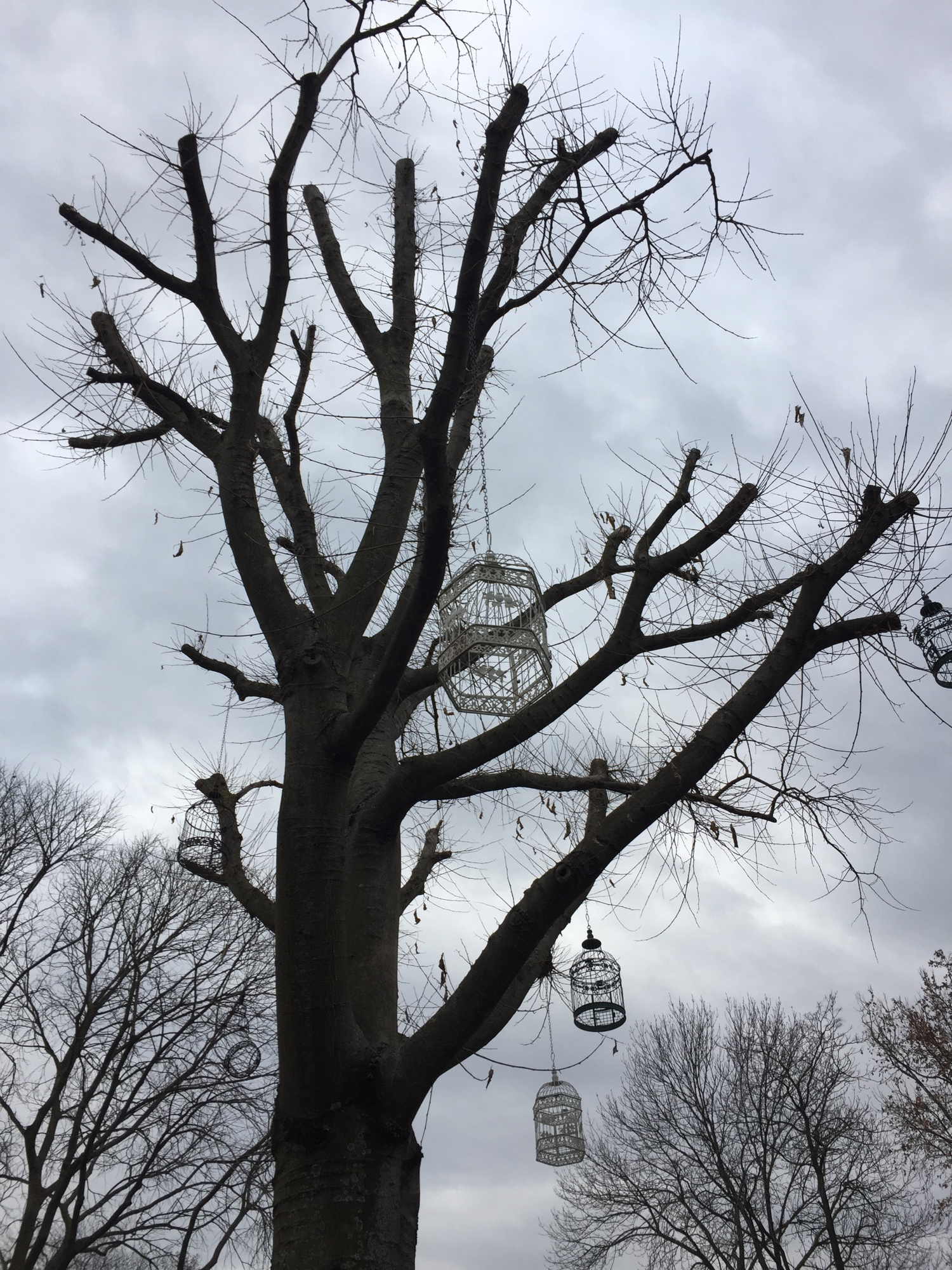leere Vogelkäfige als Dekoration an einem kahlen Baum, im Hintergrund düsterer Himmel
