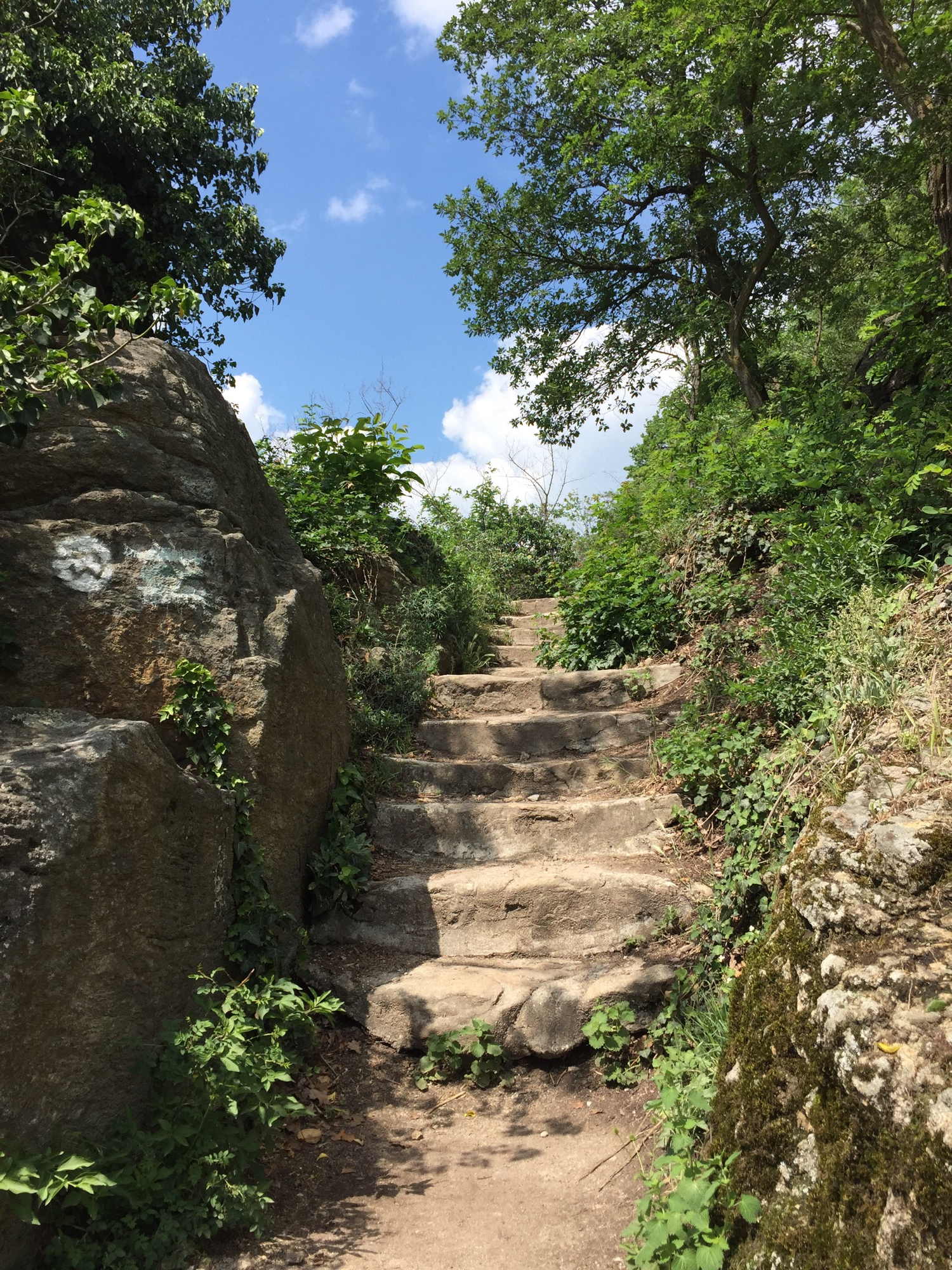 Treppe auf dem Weg zur Ruine Dürnstein
