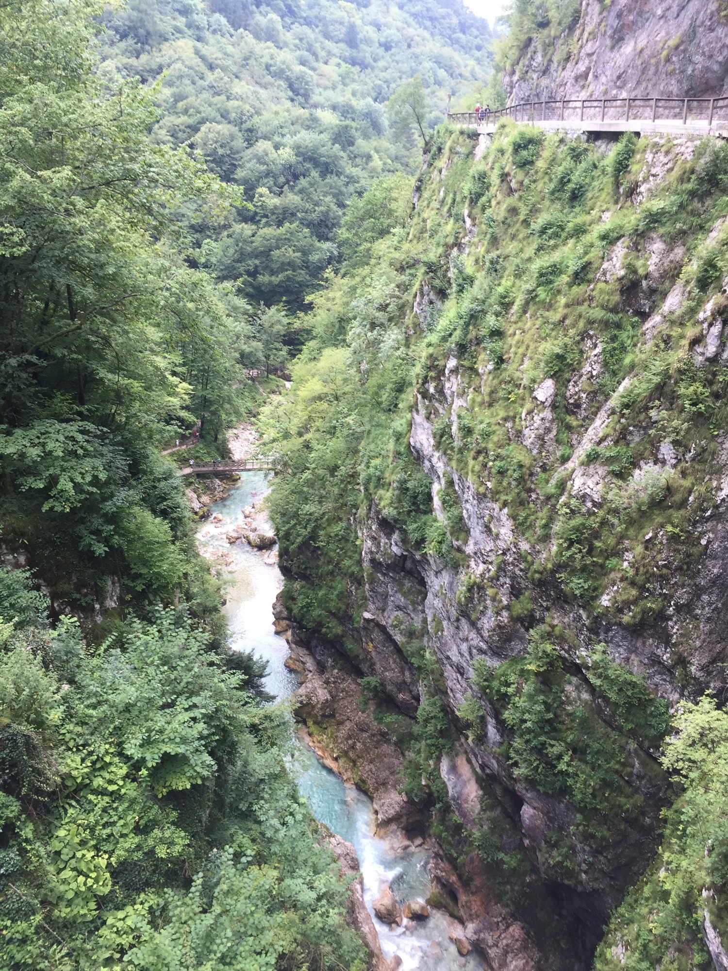 vom höchsten Punkt der Tolmin Klamm, eine geschätzt 60 Meter hohe Brücke sieht man hinunter auf den Fluss