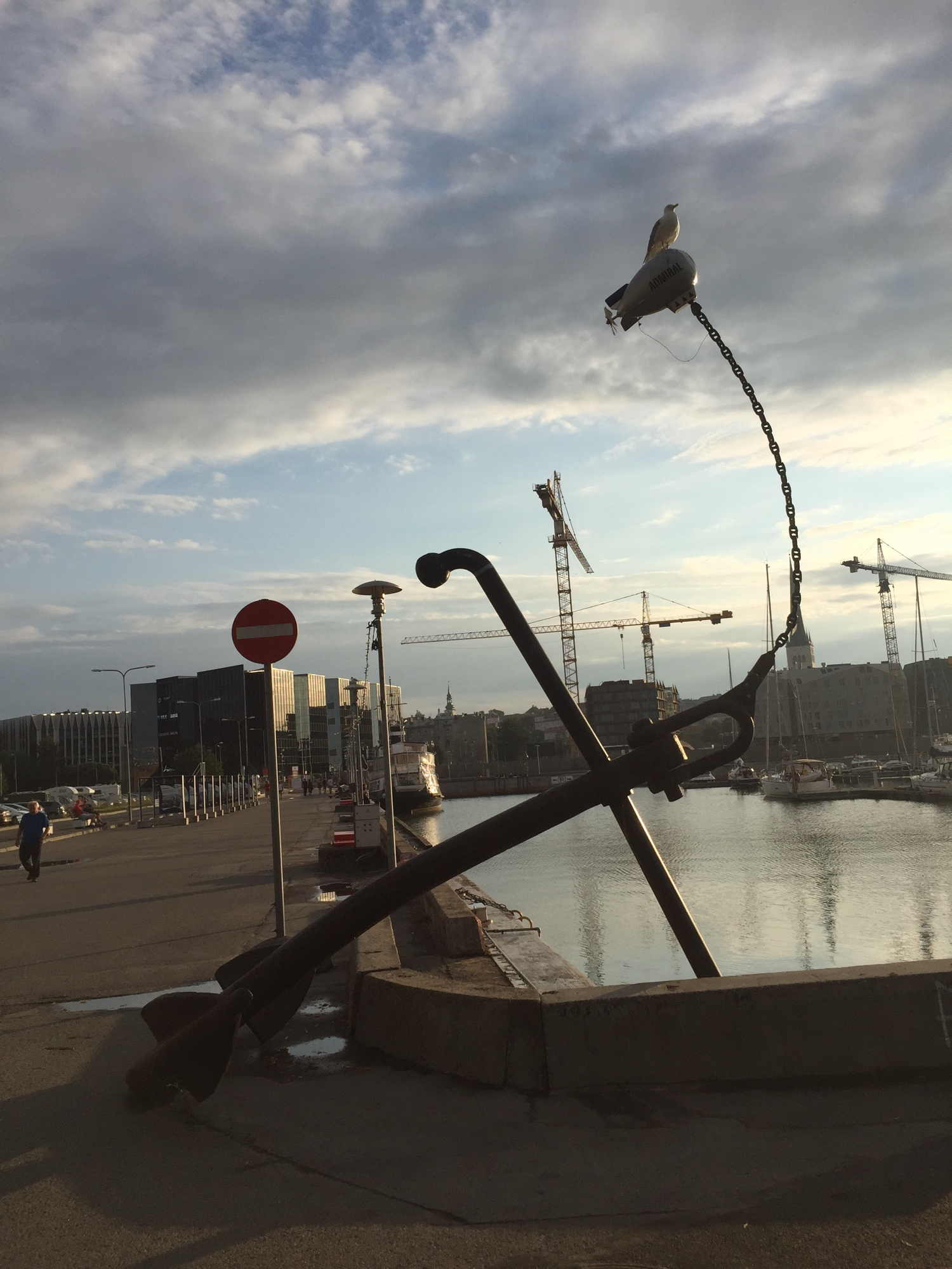 Sonnenuntergang im Yachthafen von Tallinn, im Vordergrund ein großer Anker, an dessen aufrecht stehender Ankerkette ist ein kleiner Zeppelin befestigt, auf diesem Zeppelin sitzt eine Möwe und genießt die Aussicht