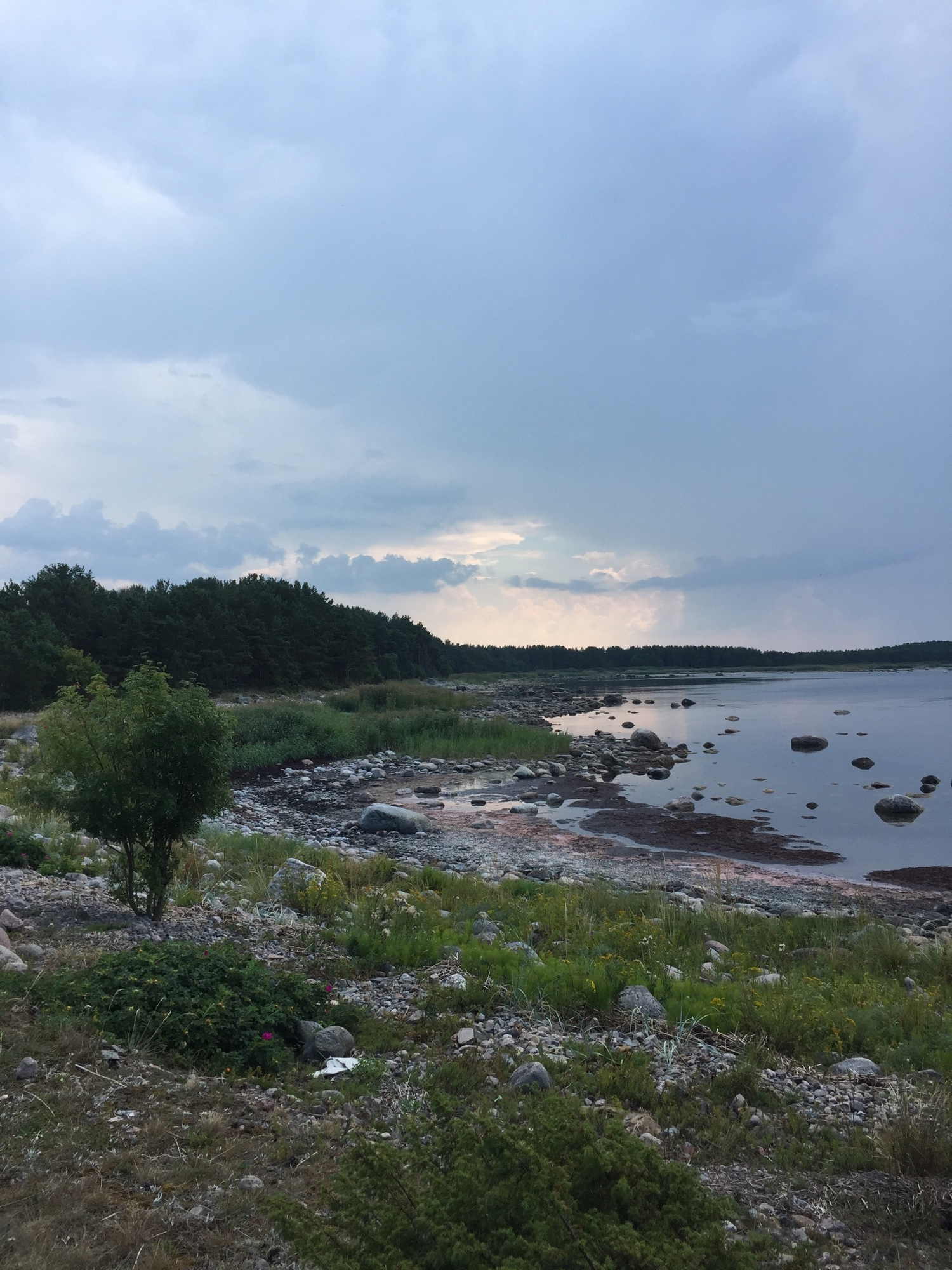 Bucht im Norden von Aegna mit Blick auf die dramatischen Gewitterwolken hinter der Insel