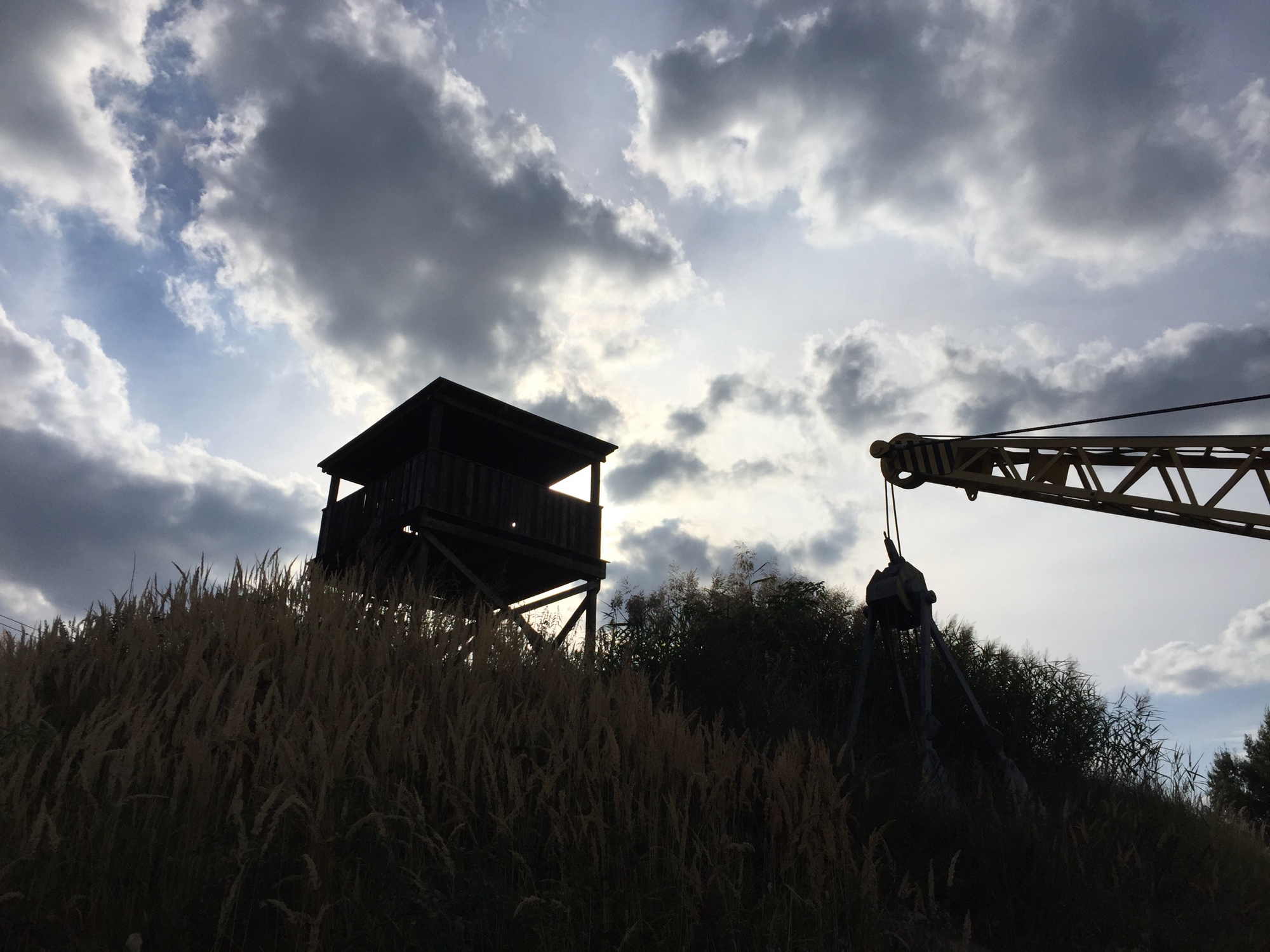 Blick vom Fuße des Hügels auf den Aussichtsturm, rechts ragt ein Kran ins Bild