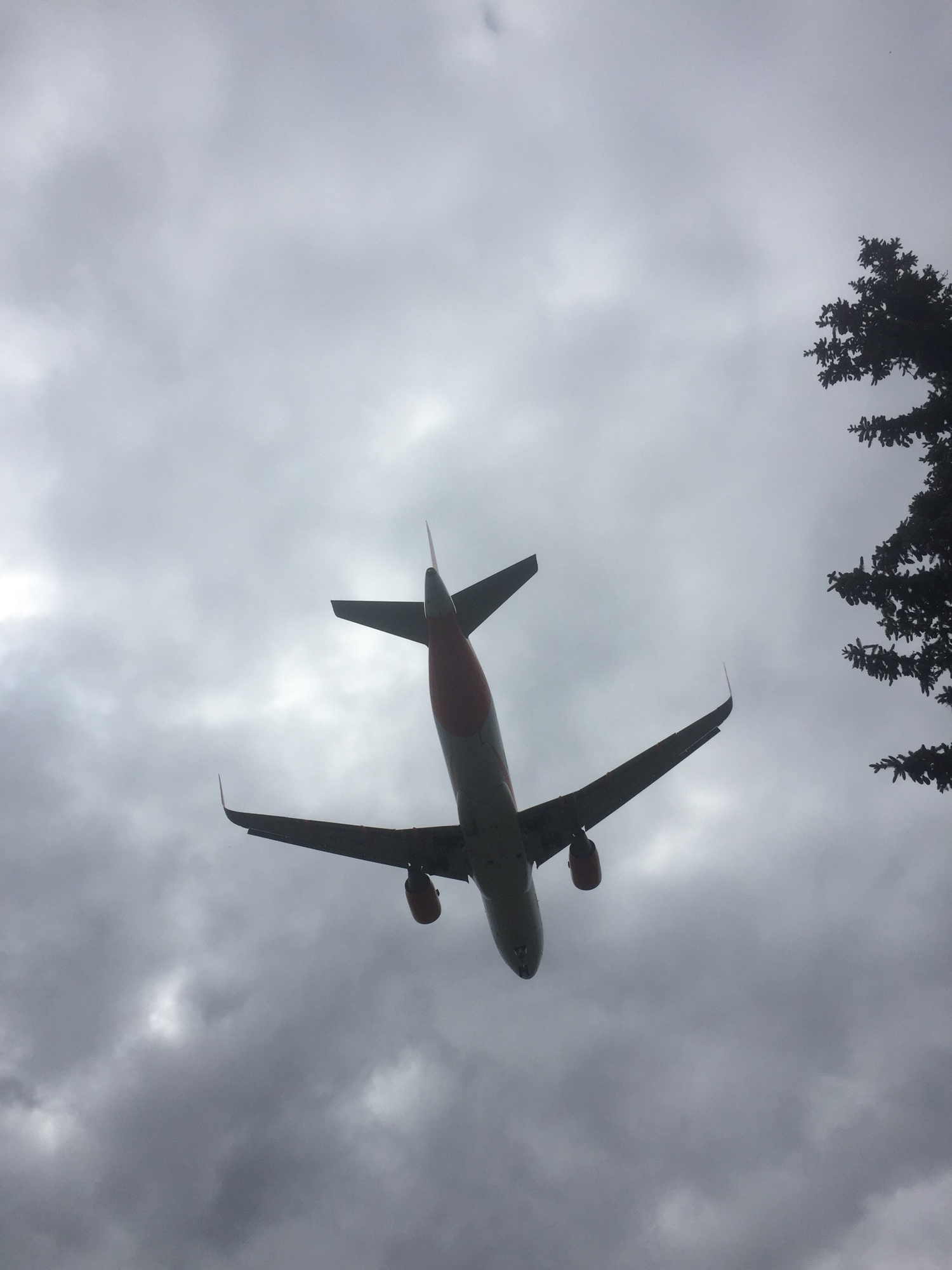 Flugzeug im Landeanflug auf Berlin Tegel