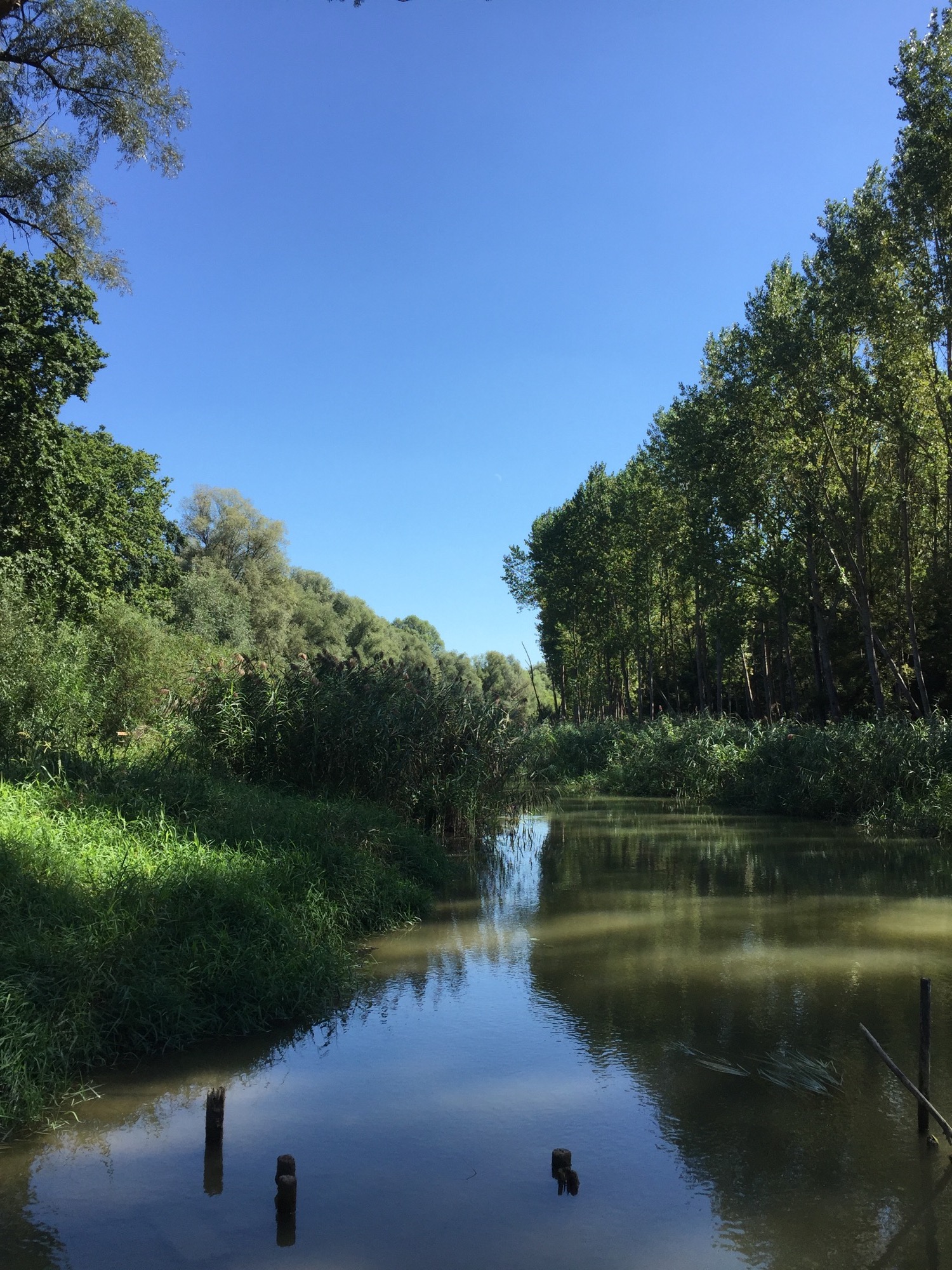 Blick auf das Gewässer Krumpenwasser in der Stockerauer Au nahe das Ausflugsgasthofs Konrad