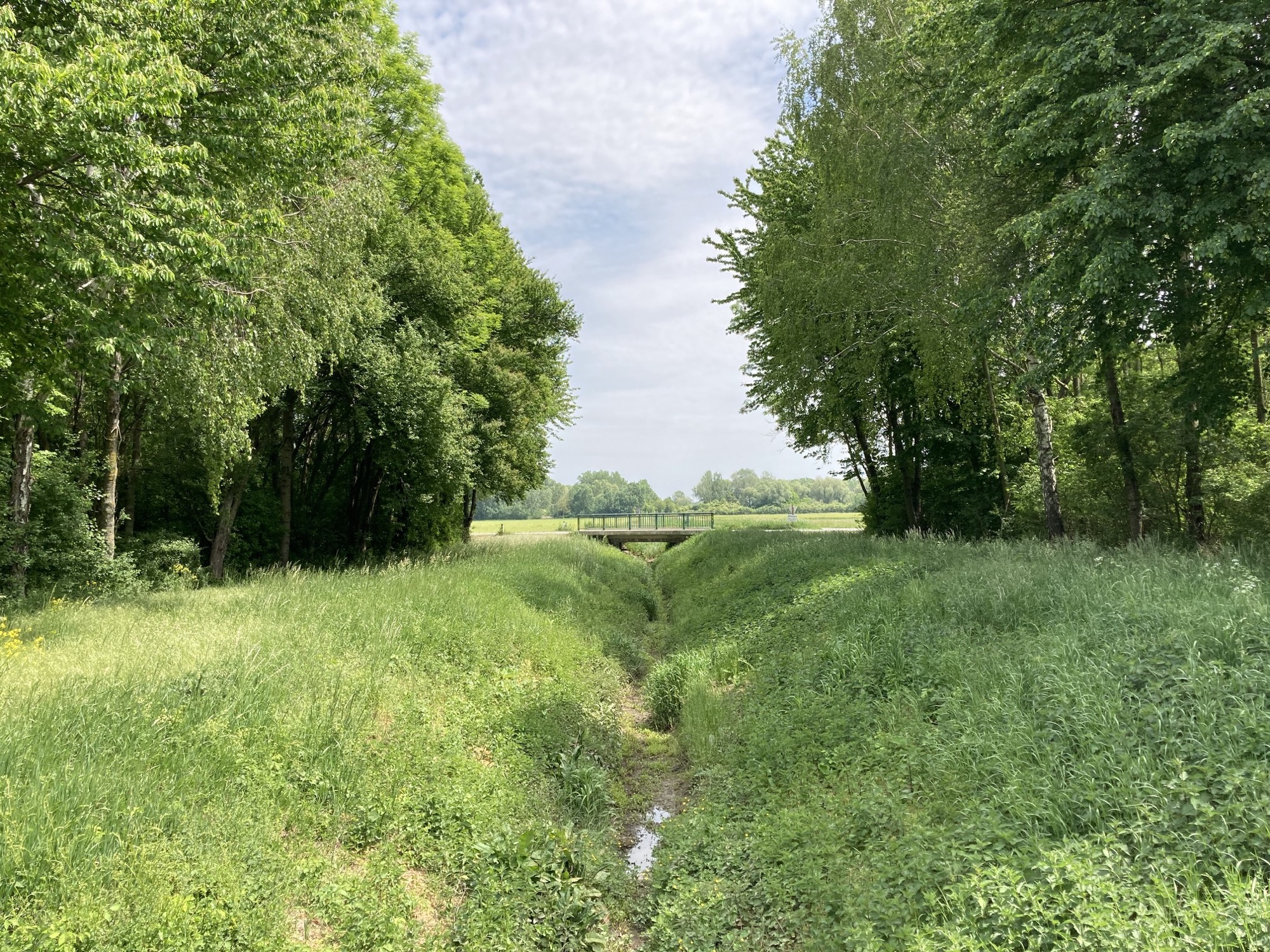 Ausblick von Brücke zu Brücke über einen sehr trockenen Bach inmitten von viel Grün