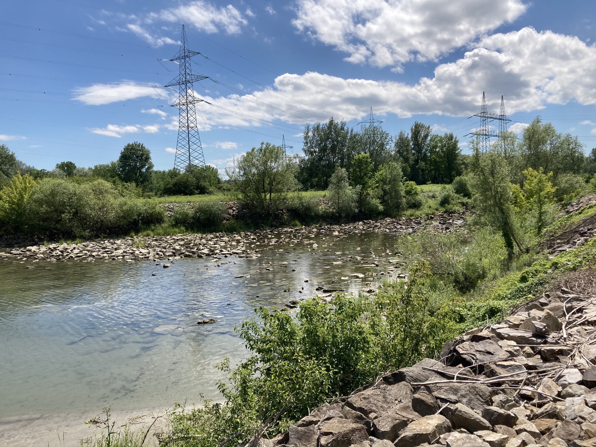 Mündung der Traisen in die Donau