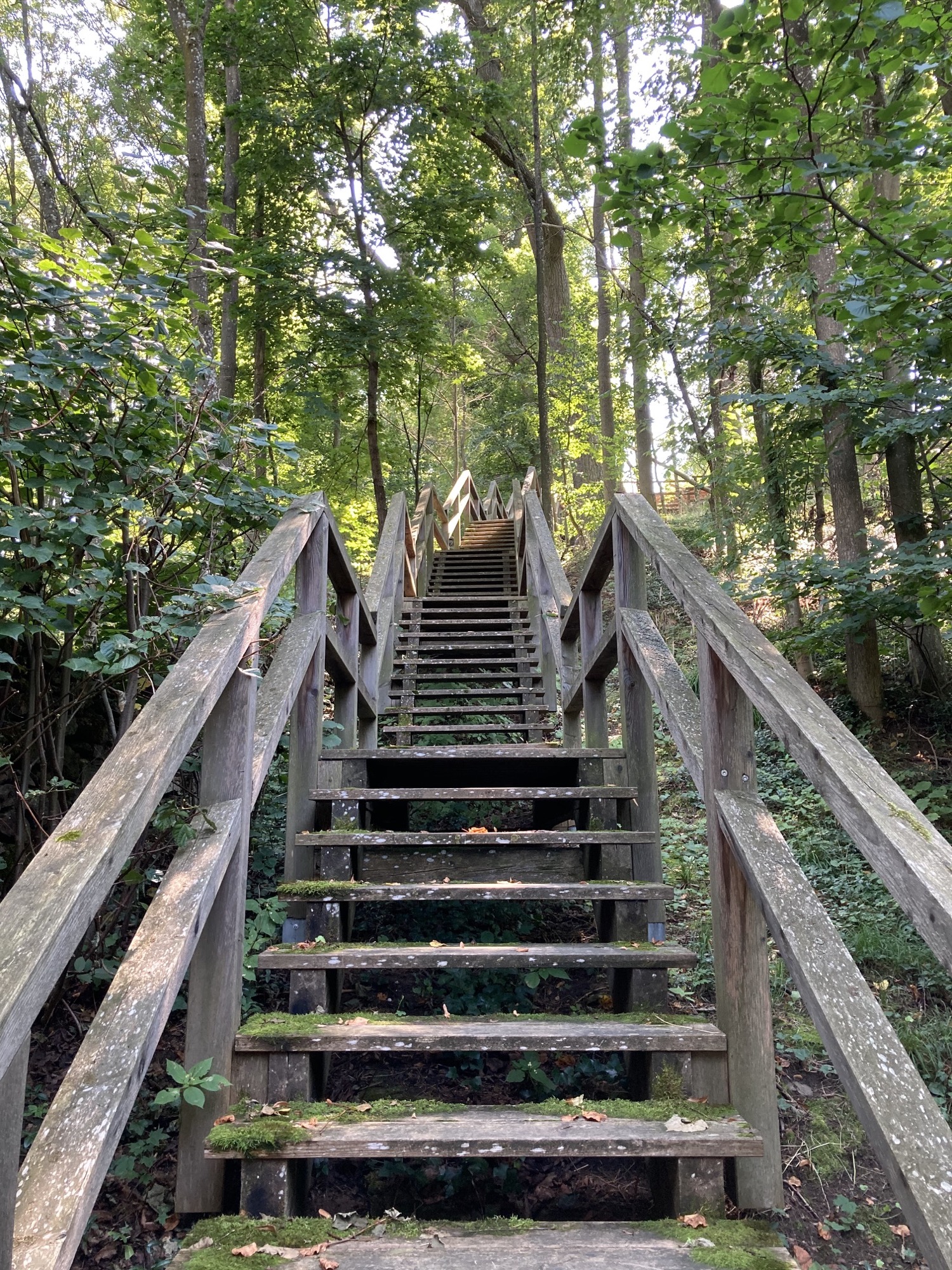 Holzsteg, der hinter dem Pfarrhof zum Eremitage-Pavillon führt