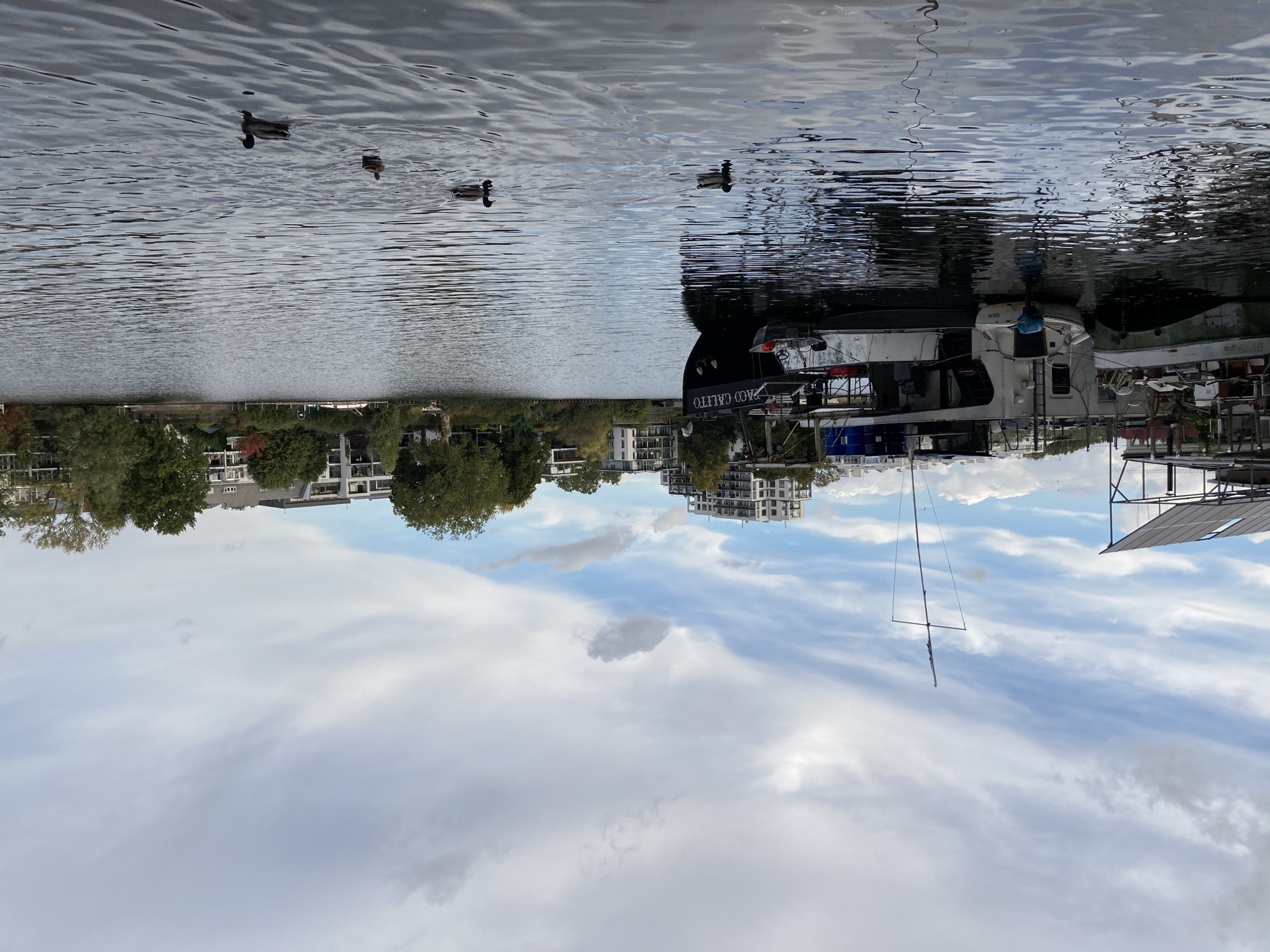 Blick über die Spree mit Hausboot und Enten im Vordergrund, das Ufer Stralau im Hintergrund