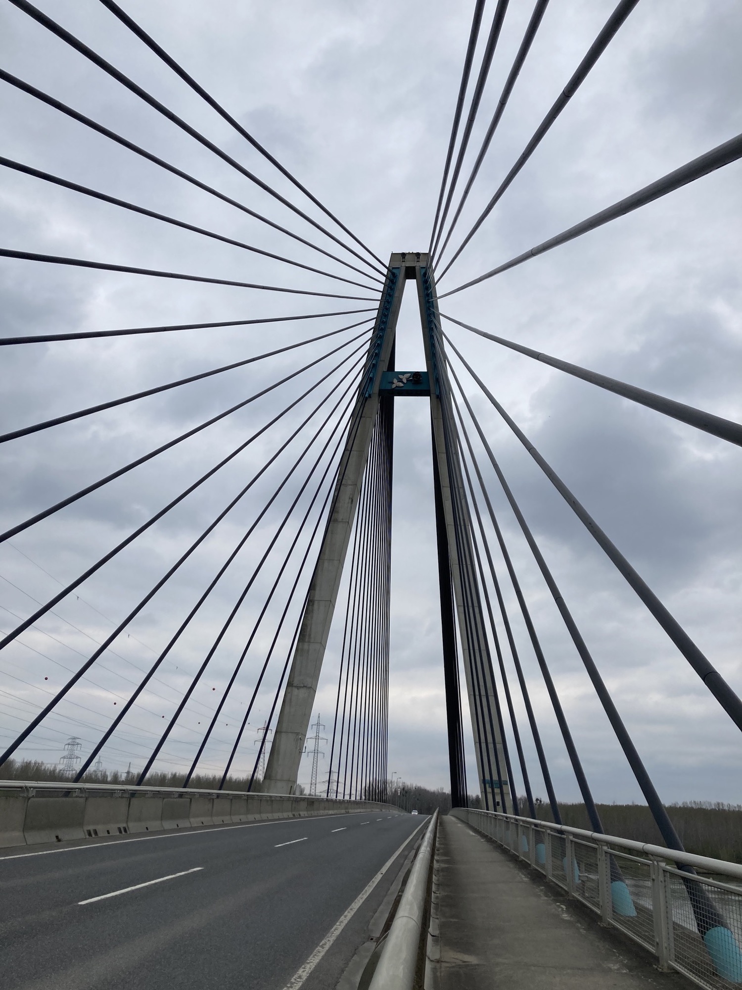 Rosenbrücke bei Tulln, Blick vom Fußgängerweg auf die Mittelkonstruktion mit dekorativem Rosenmotiv