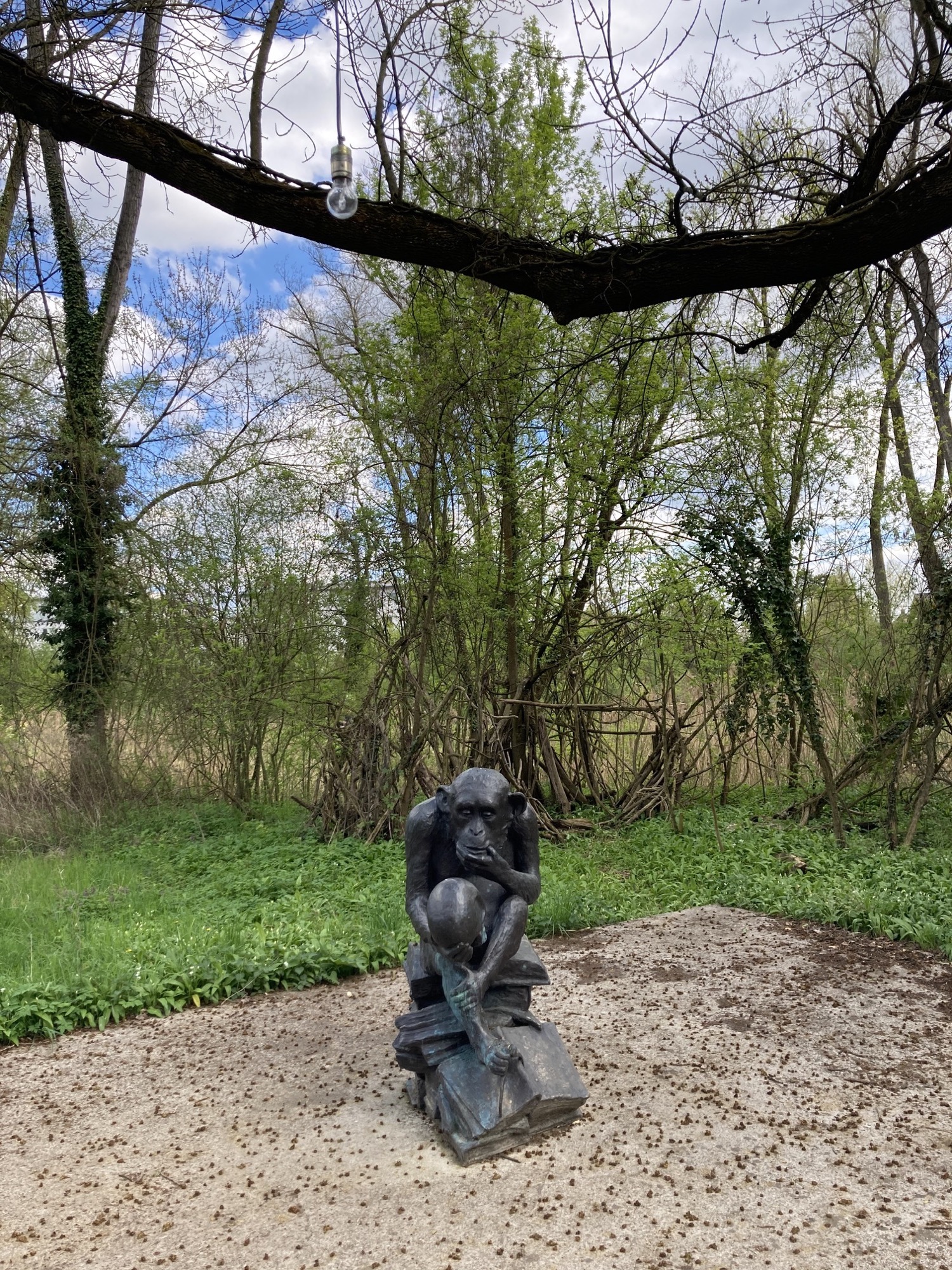 Kunstwerk „Affe“: Metallstatue eines philosophierenden Affen, vom Ast darüber hängt eine Glühbirne über dem Kopf des Affen