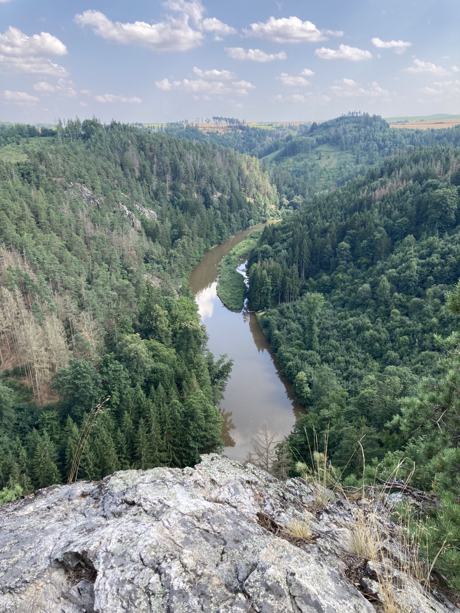Ausblick auf die Thaya vom sogenannten Uhufelsen aus