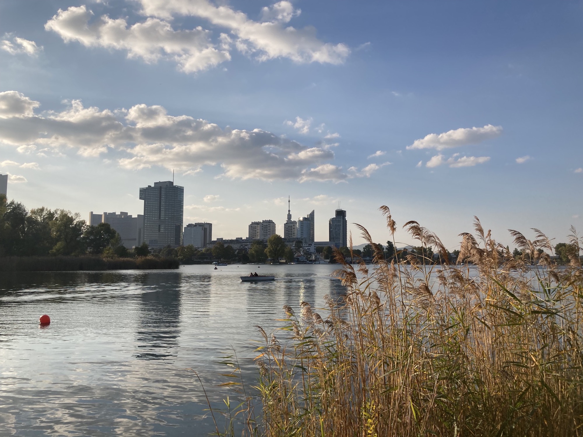 Blick über die Alte Donau auf die Wolkenkratzer, links im Bild das Vienna International Center, ganz hinten der Donauturm, im Vordergrund Schilf