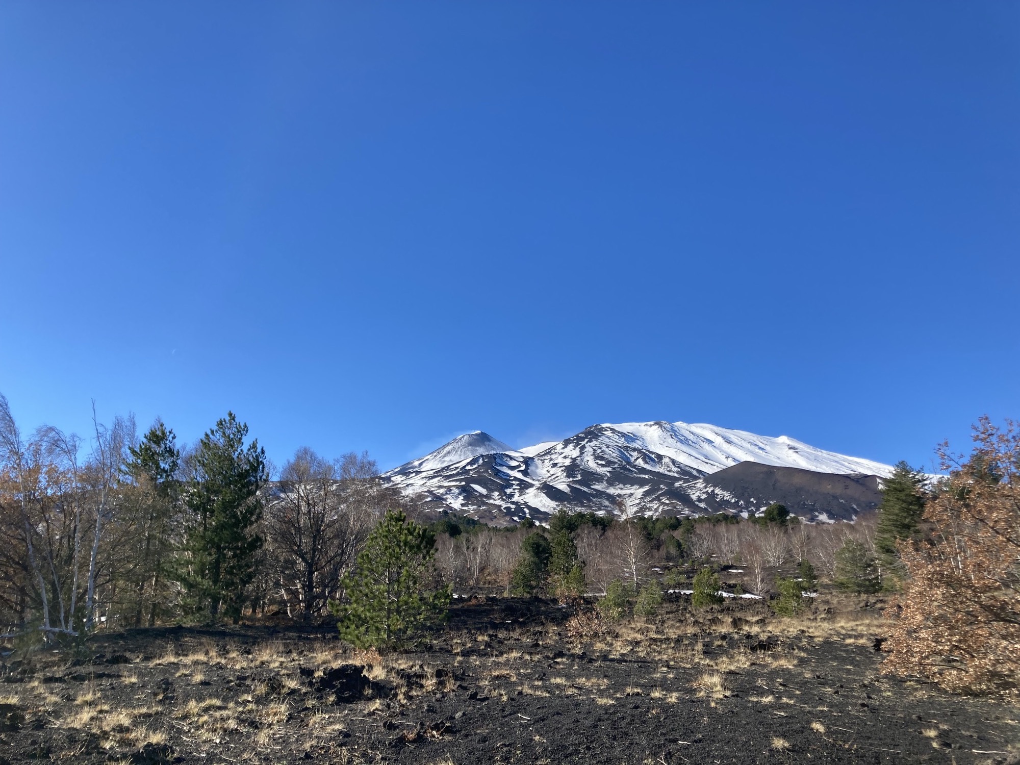 Bergmassiv des Ätnas, hohe Lagen sind schneebedeckt, Wasserdampf steigt aus dem noch aktiven Hauptkrater auf, im Vordergrund Höhenvegetation auf Lavagestein und Asche