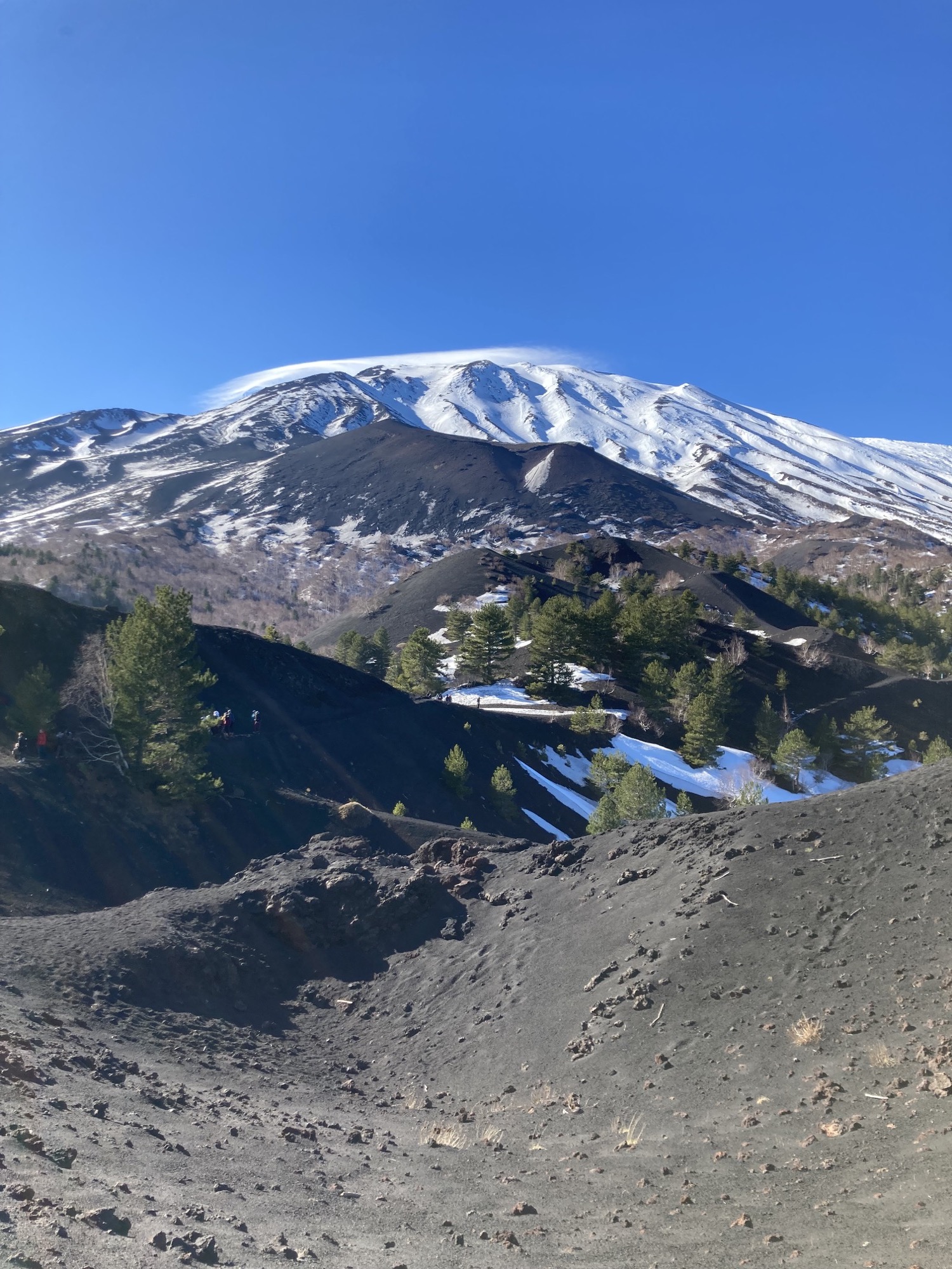 Vulkanlandschaft, Basaltgestein, Asche, wenige Bäume, Sträucher und Gräser wachsen auf der schwarzen Erde, im Hintergrund der von Wasserdampf gekrönte Gipfel des Ätnas