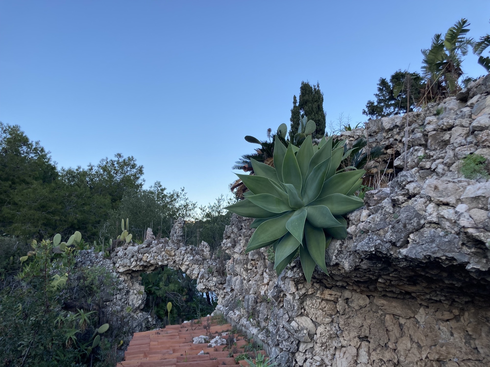 mit Kakteen und Palmen bewachsene Mauern auf der Insel Isola Bella