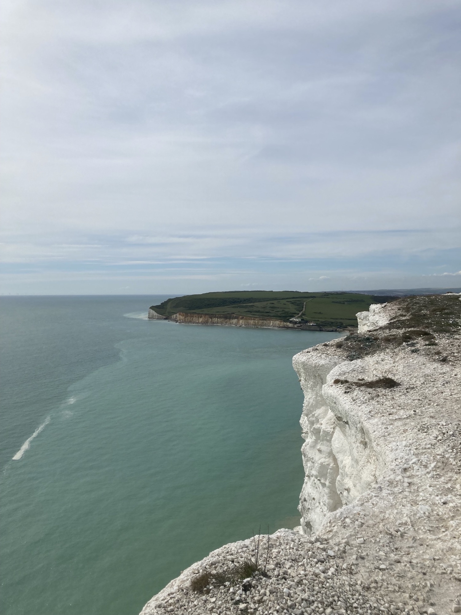 weiße Feldklippen an der südenglischen Küste, rechts weiße Klippen, links Meer