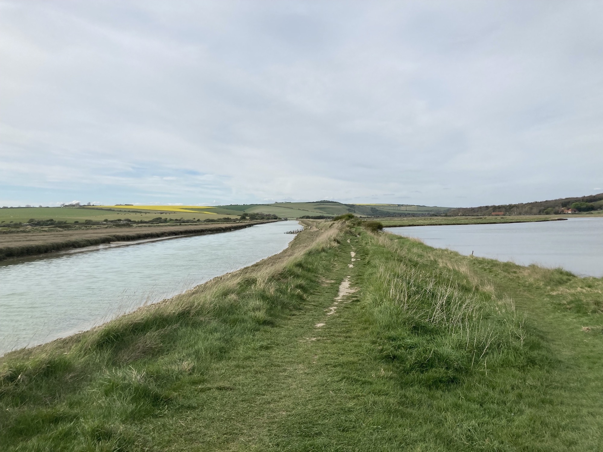 Weg durch eine Salzmarsche, Wasser links und rechts des Weges, im Hintergrund grüne und gelbe Felder