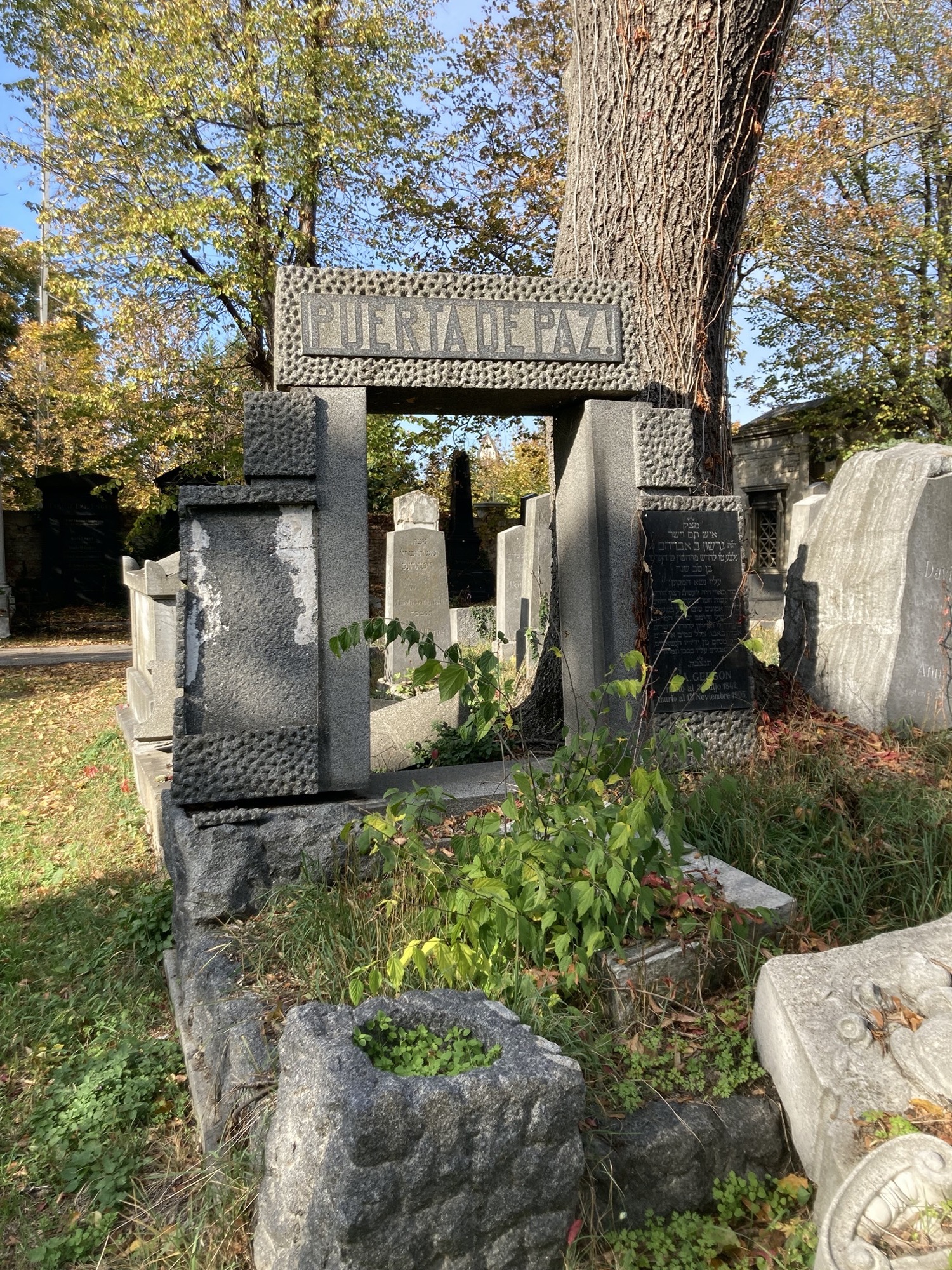 altes Grab, die Steine sind von Pflanzen überwachsen und teilweise beschädigt, noch zu erkennen ist ein Portal mit der Inschrift Puerta de Paz