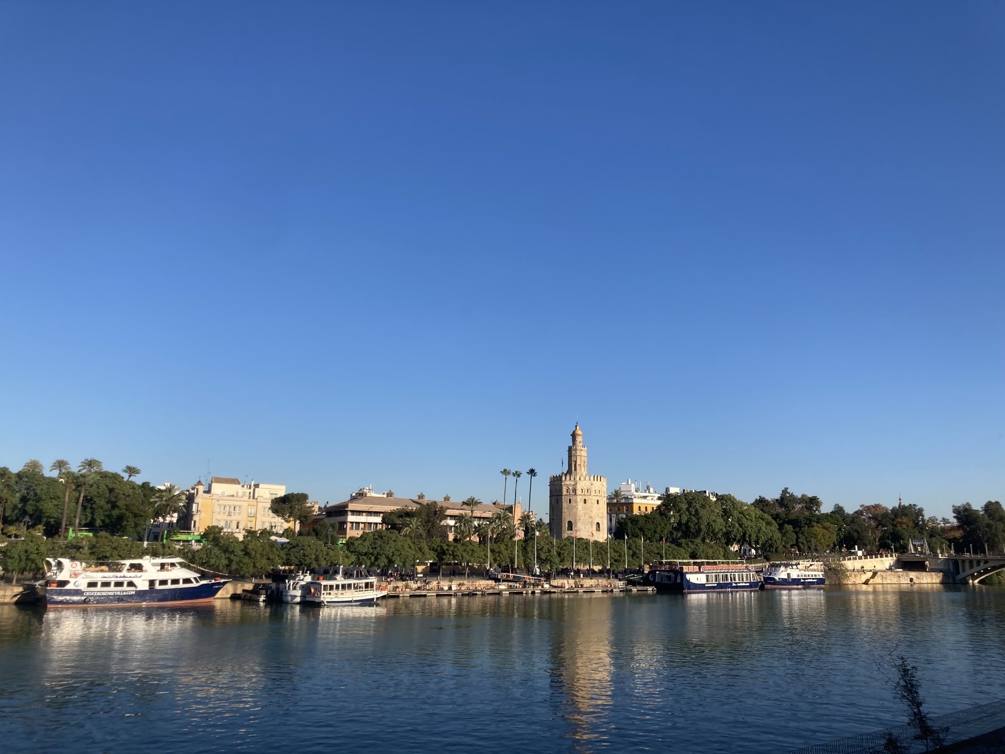 Blick über den Fluss Guadalquivir, am Flussufer ankern Ausflugsschiffe, der Torre del Oro (Goldturm) und die Palmen am Flussufer spiegeln sich auf der Wasseroberfläche
