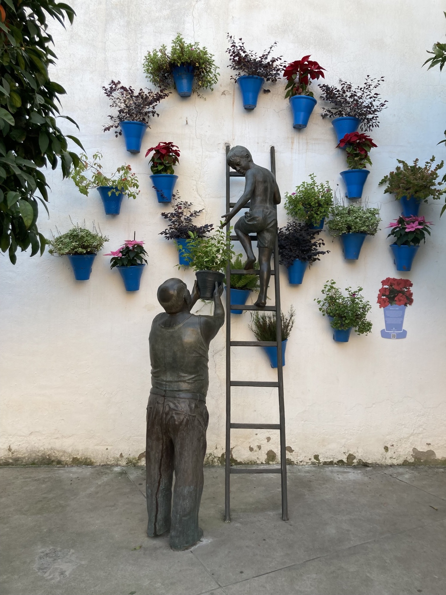 Installation: an der Wand hängen blaue Blumentöpfe mit verschieden Pflanzen, davor eine Metallskulptur, die einen Burschen auf einer Leiter darstellt, dem eine ältere Person einen weiteren Blumentopf hinstreckt