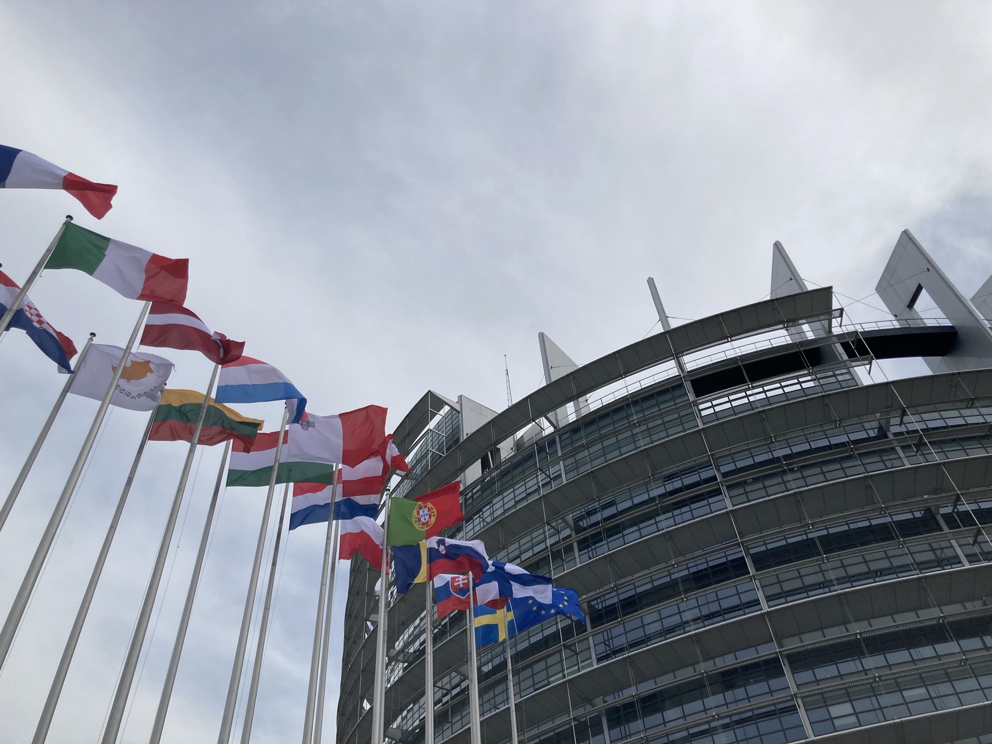 vor dem Gebäude des Europaparlaments, rechts ragt das geschwungene Gebäude in die Höhe, links wehen an Fahnenmasten die Flaggen der Mitgliedsländer