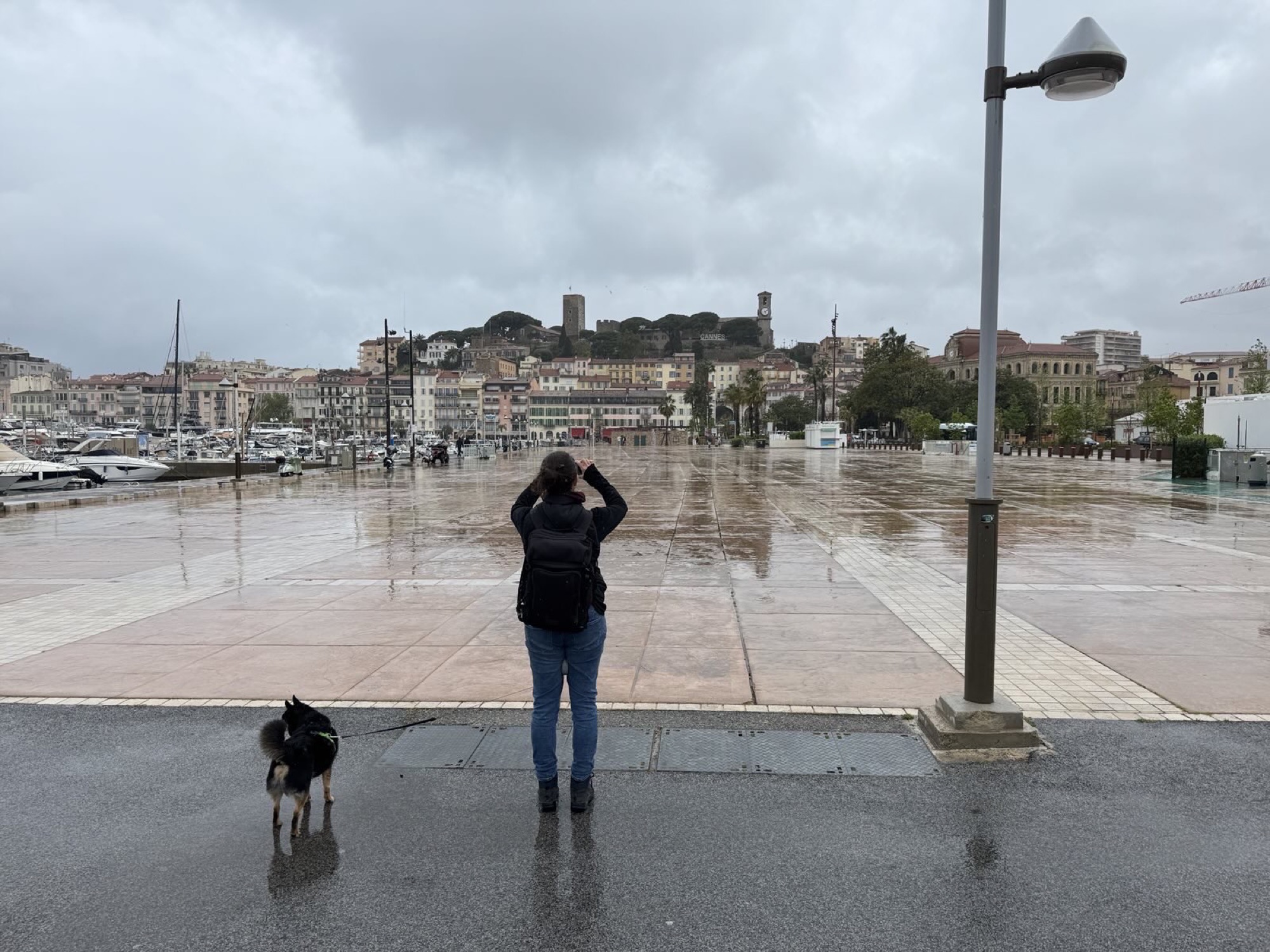 Blick über den Hafenplatz in Cannes auf die Festung auf dem Berg, der Himmel ist grau, der Boden nass, im Vordergrund steht eine Person und links daneben ein kleiner schwarzer Hund