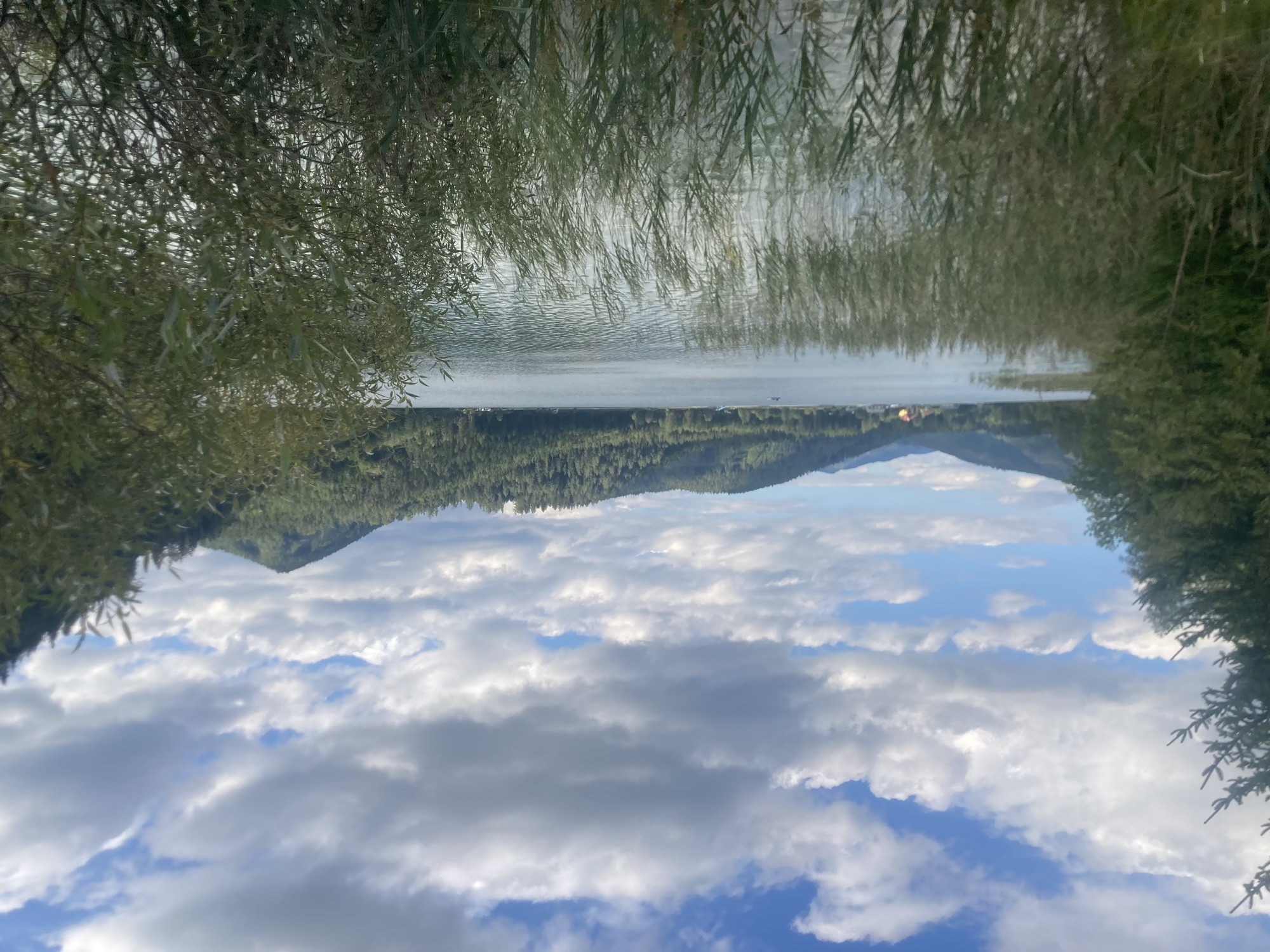 Seepanorama mit Schilf im Vordergrund, begrünten Hügeln im mittleren Bereich und leicht bewölktem Himmel oben