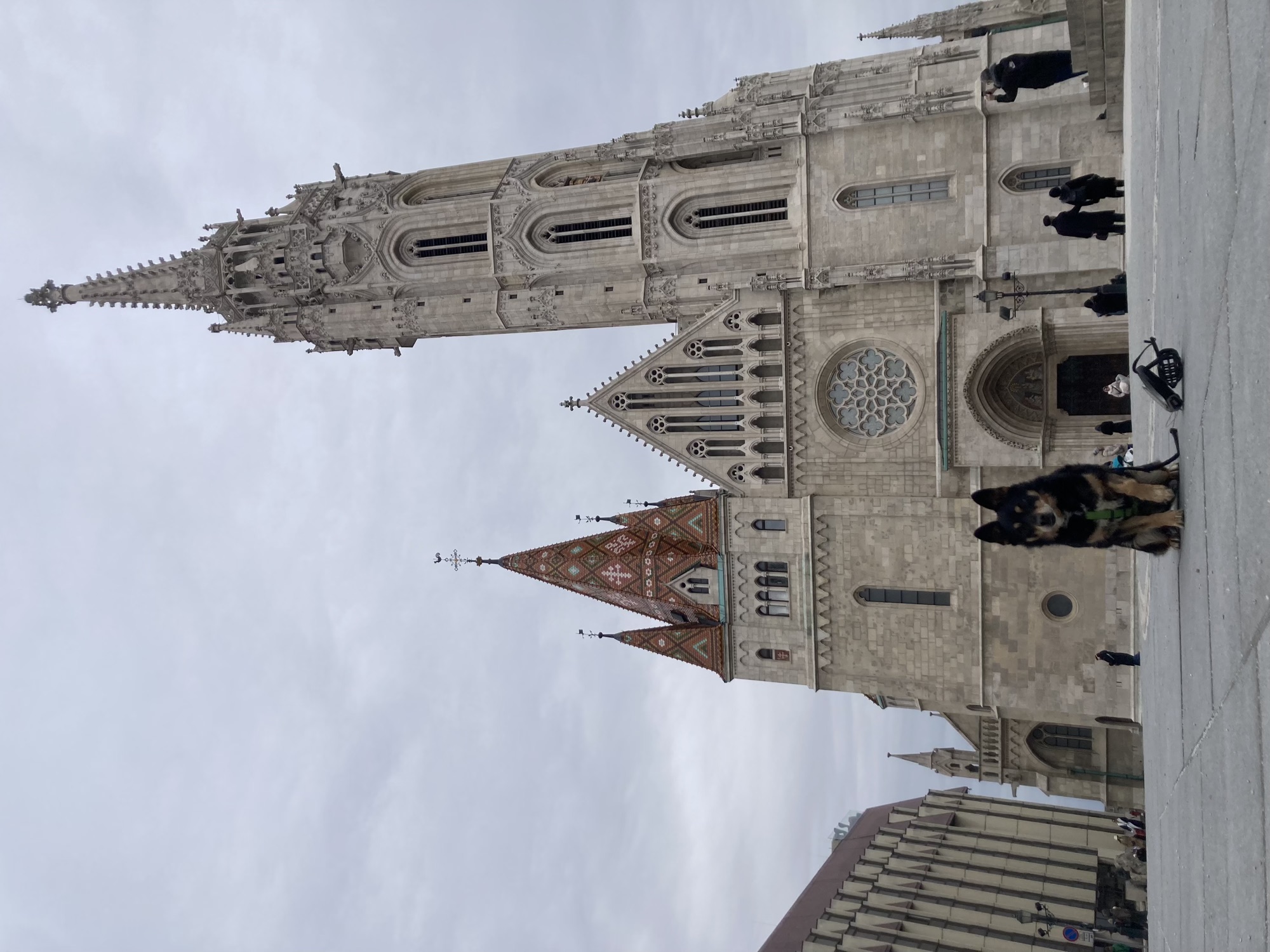 Portal der Matthias-Kirche, rechts ein hoher spitzer Turm mit gotischen Verzierungen, mittig ein Eingangsportal mit einem dekorativen Rosettenfenster, links ein kleinerer stockiger Turm mit einem verzierten Ziegeldach, im Vordergrund sitzt ein kleiner schwarz-brauner Hund
